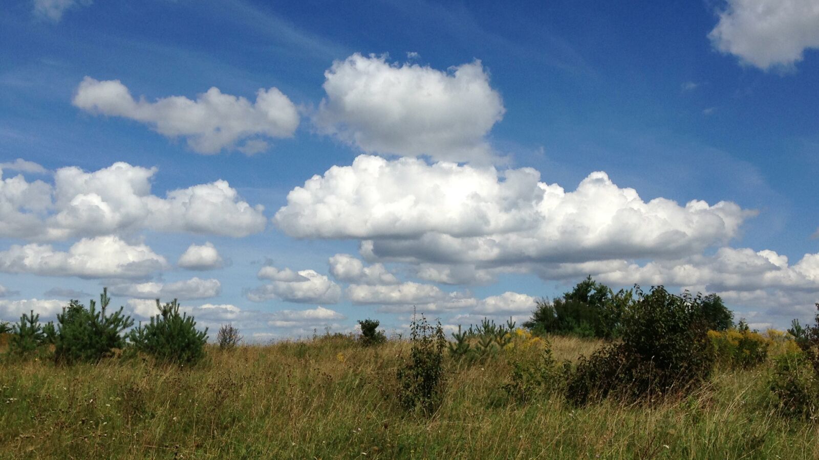Apple iPhone 5c sample photo. Landscape, sky, clouds photography