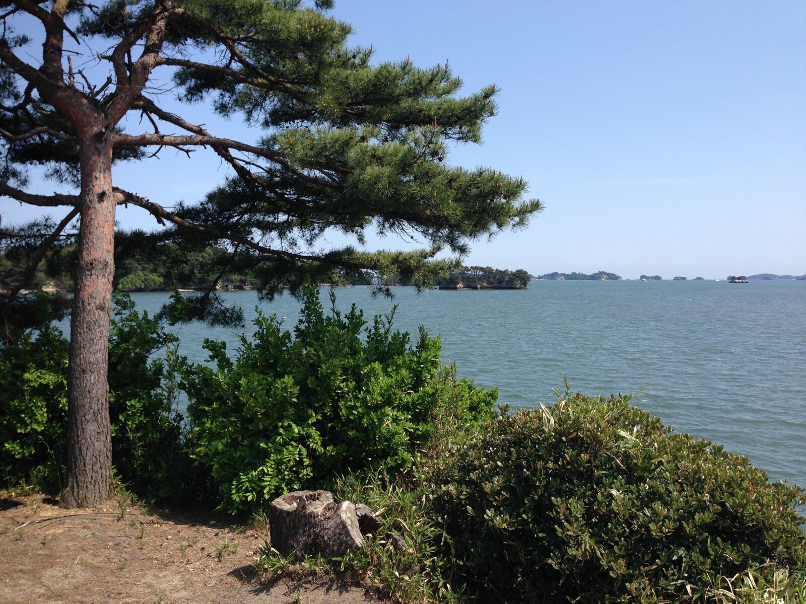 iPhone 5 back camera 4.12mm f/2.4 sample photo. Matsushima bay, pine, sea photography
