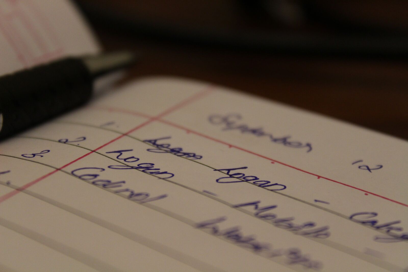 Canon EOS 700D (EOS Rebel T5i / EOS Kiss X7i) sample photo. Pen, paper, writings photography