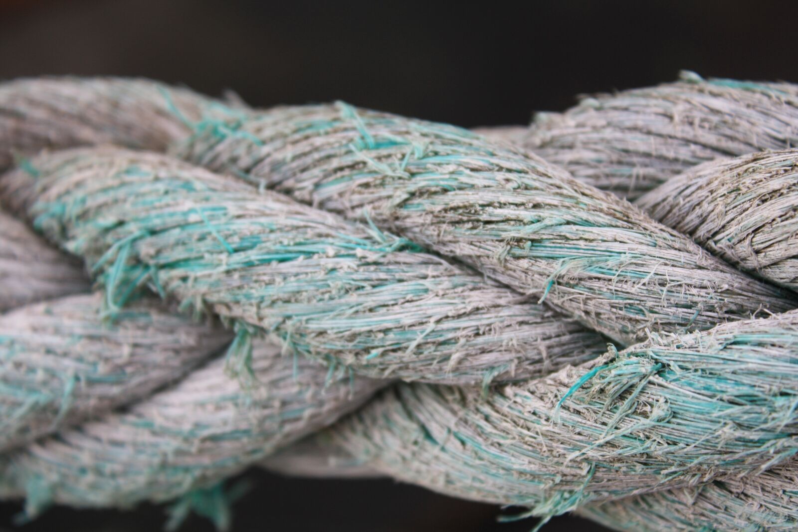 Canon EOS 1000D (EOS Digital Rebel XS / EOS Kiss F) sample photo. Rope, texture, braided photography