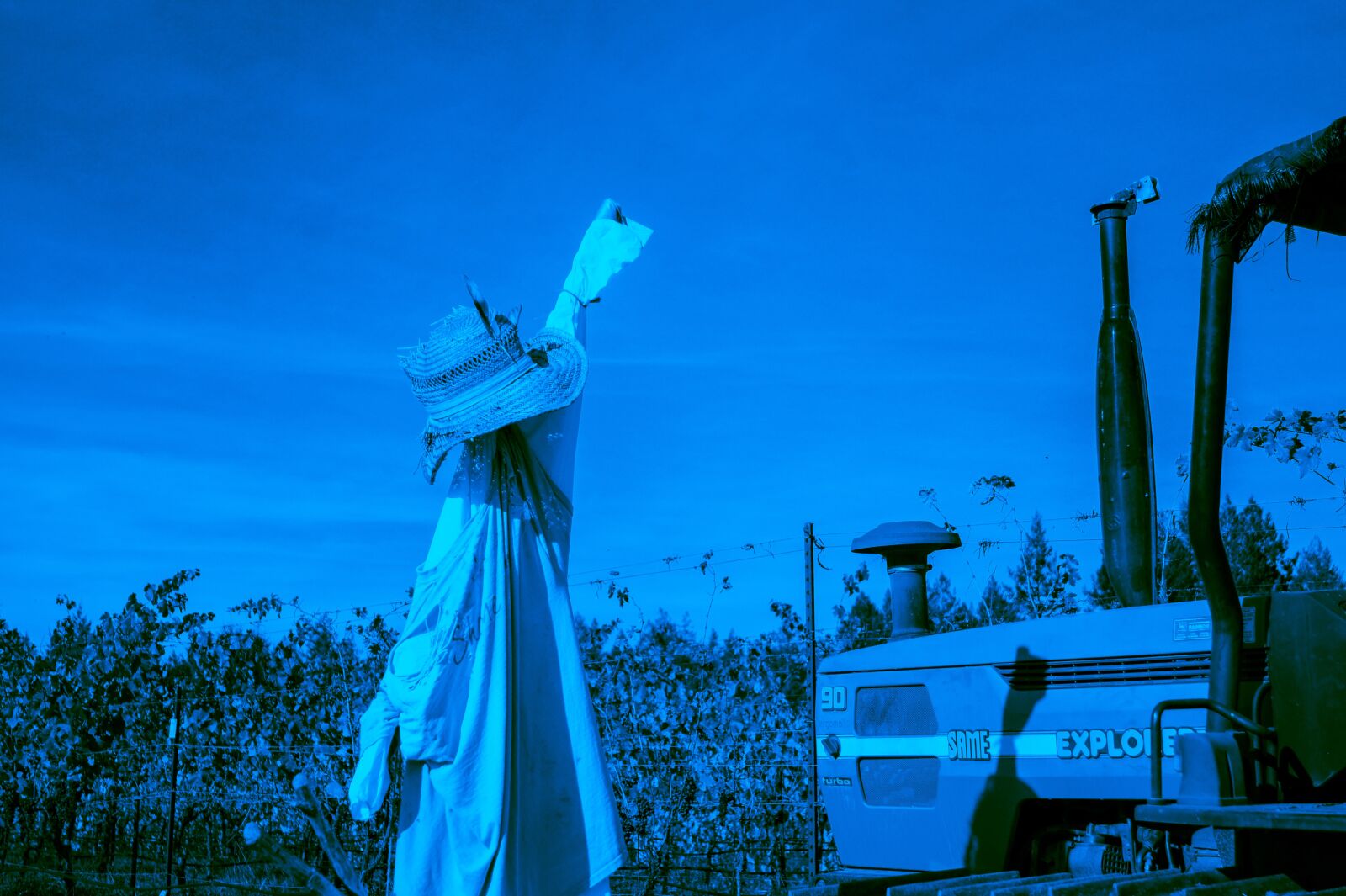 Sony Alpha DSLR-A550 sample photo. Gothic, scarecrow, farm photography