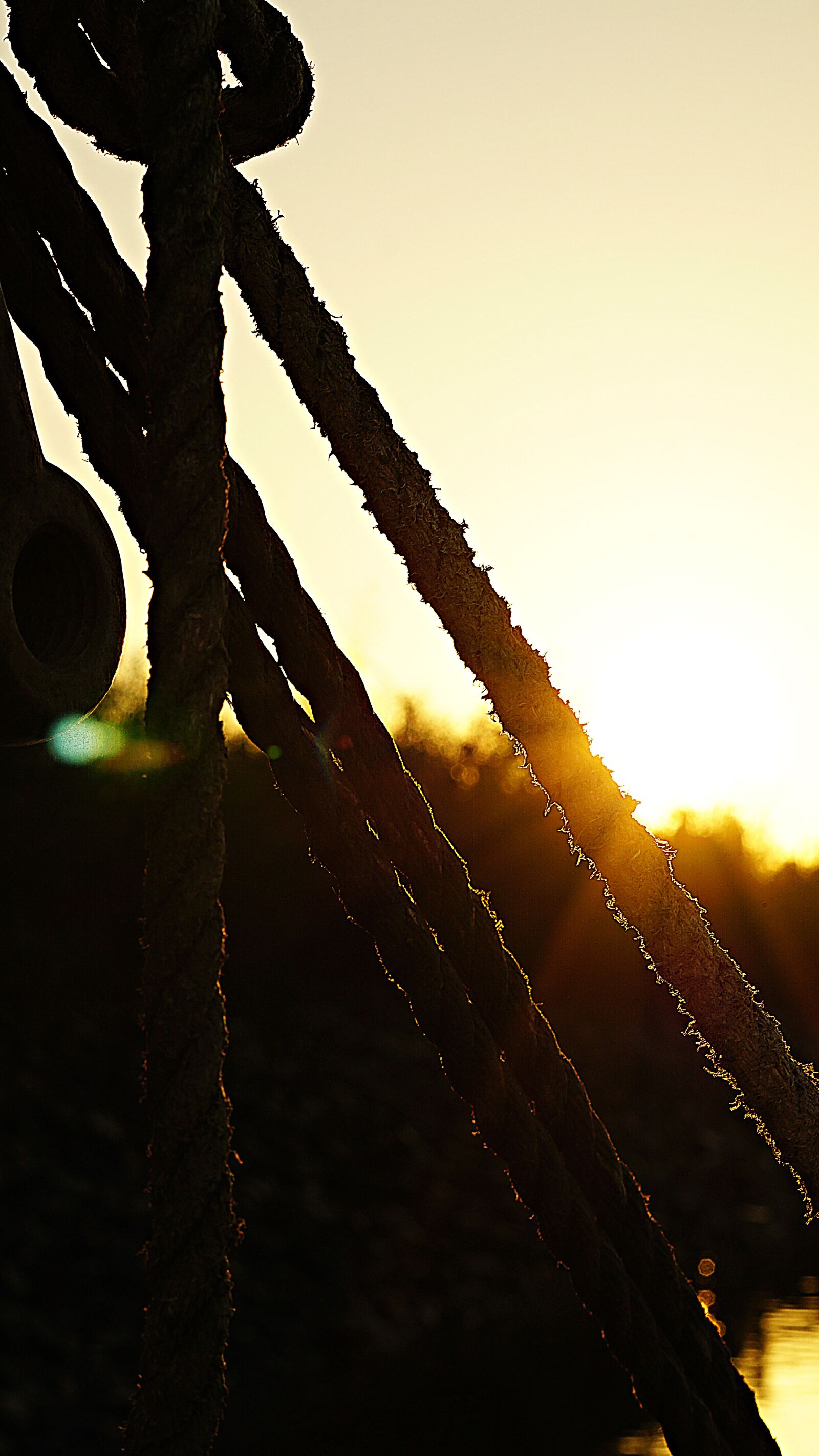 Sony a6000 sample photo. Dew, maritime, rope photography