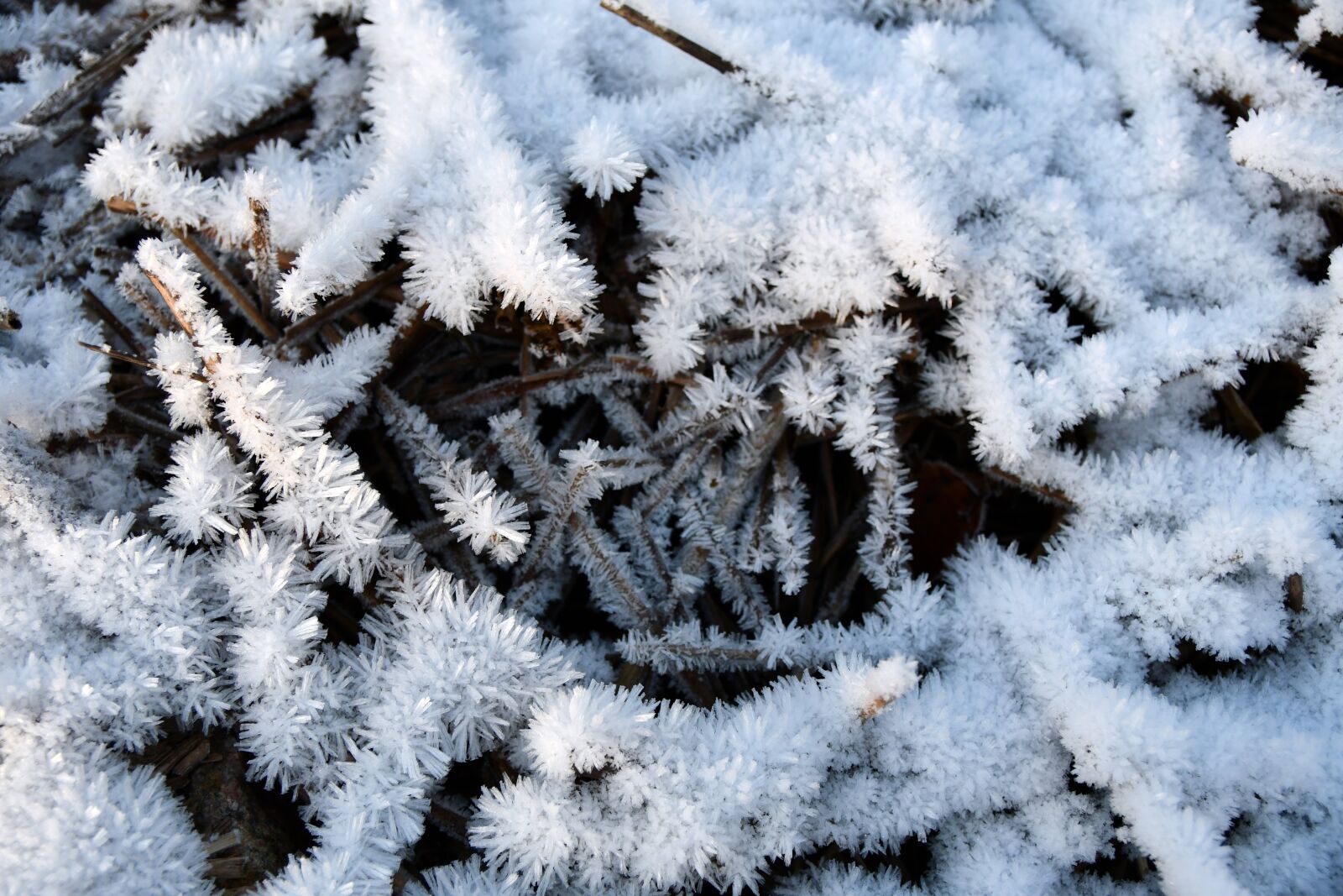 Nikon D7500 sample photo. Snow, ice, winter photography