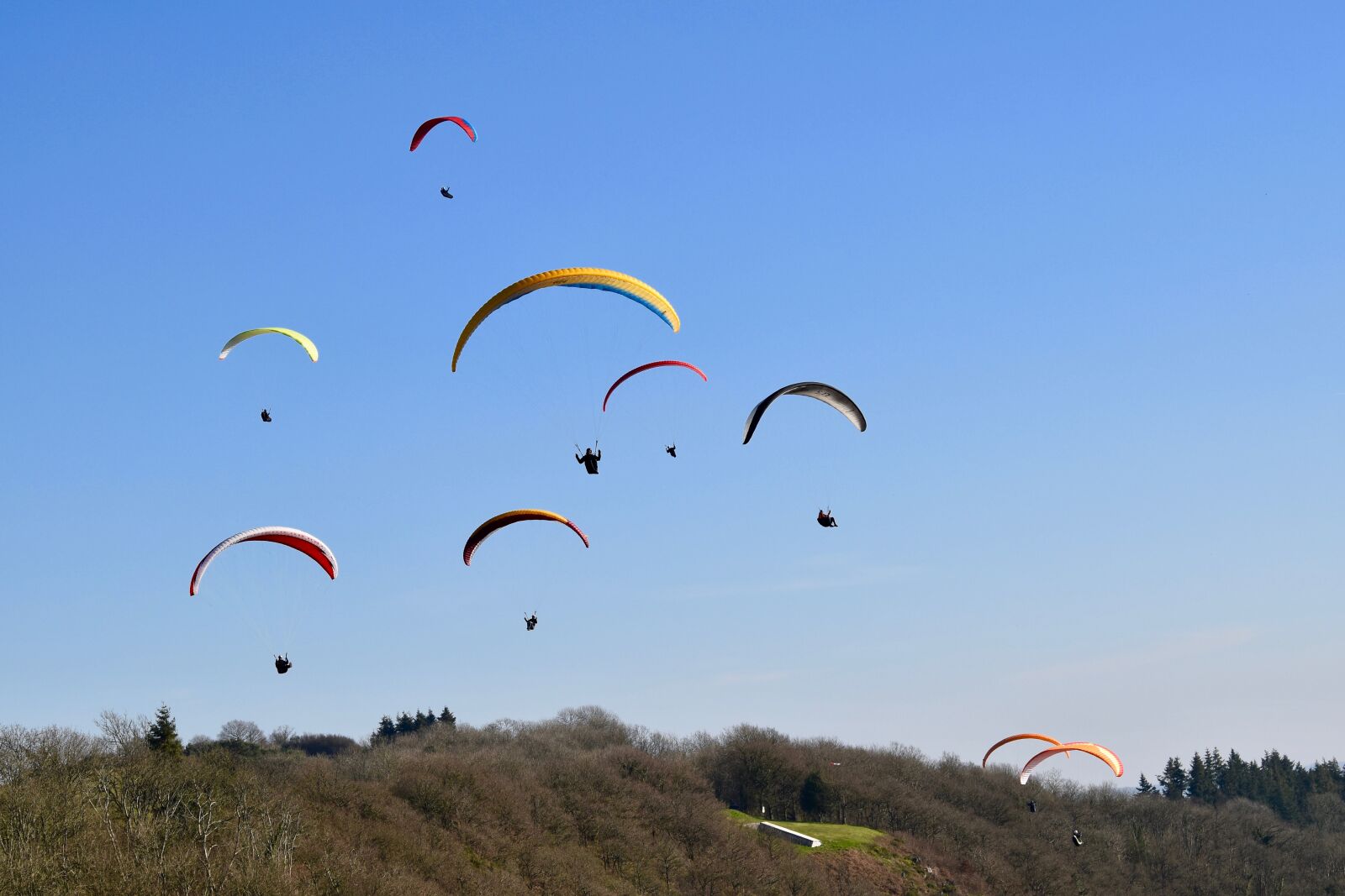 Nikon D5600 sample photo. Paragliding, paraglider, sails of photography
