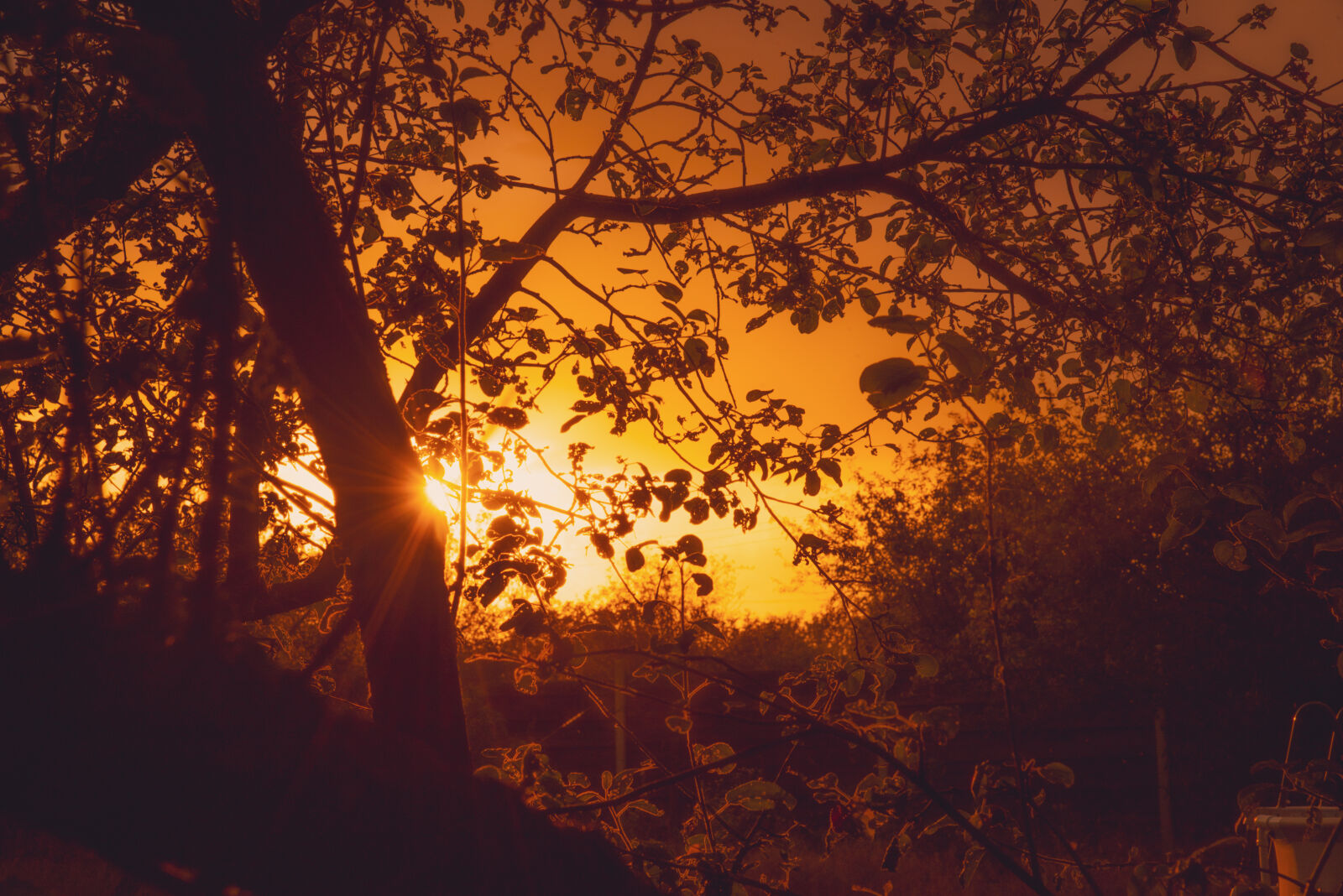 Nikon D750 sample photo