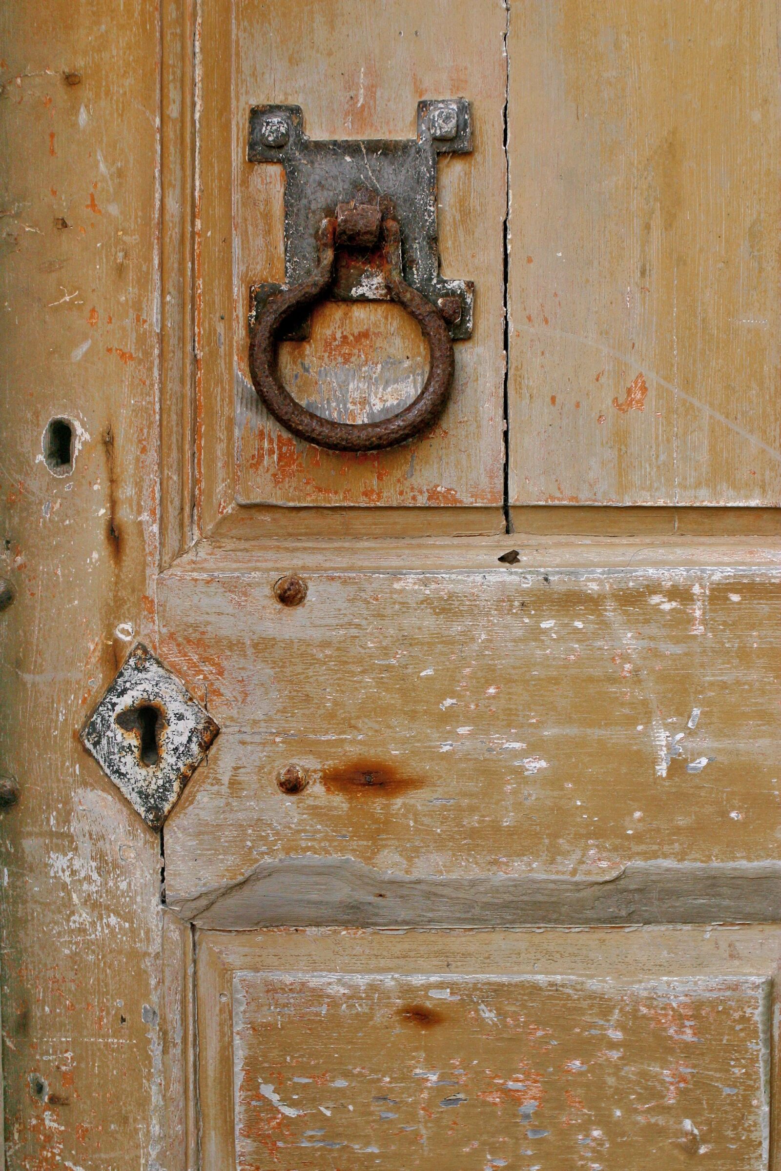 Canon EOS D60 sample photo. Door, old, textured photography