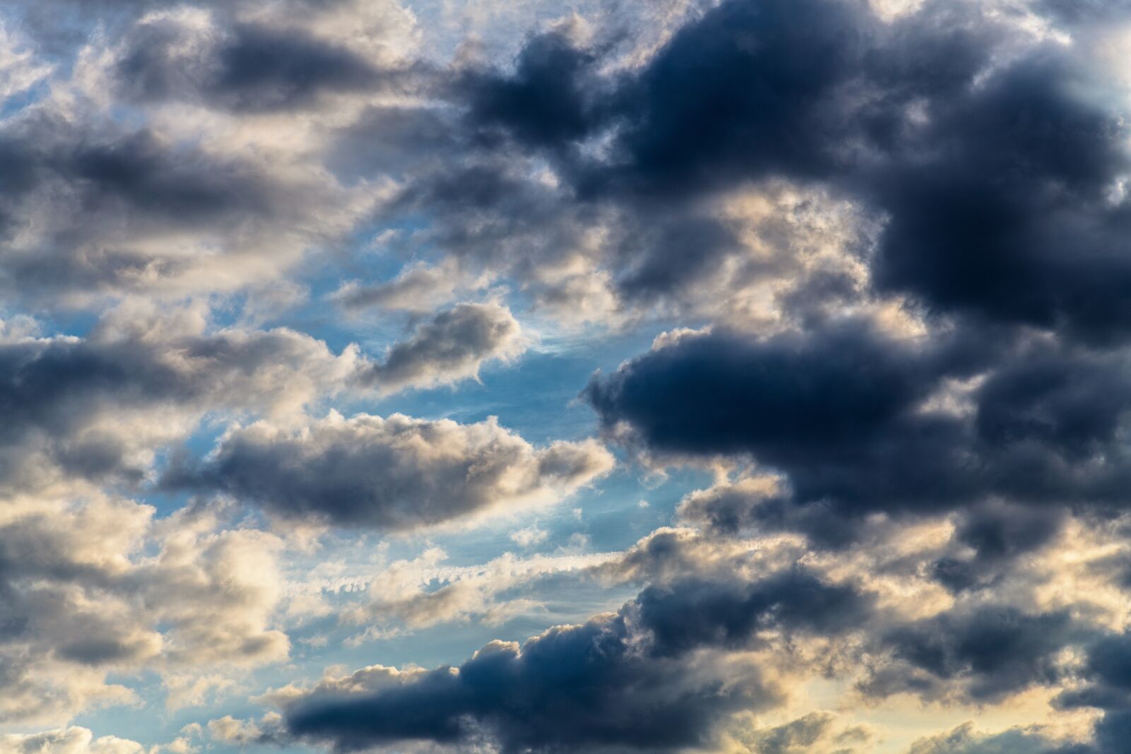 Nikon D850 sample photo. Blue, the sky, clouds photography