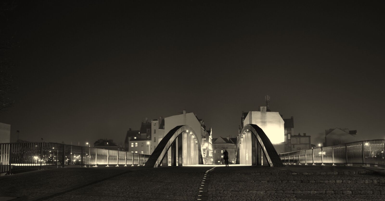 Nikon D3100 sample photo. Bridge, evening, monuments photography