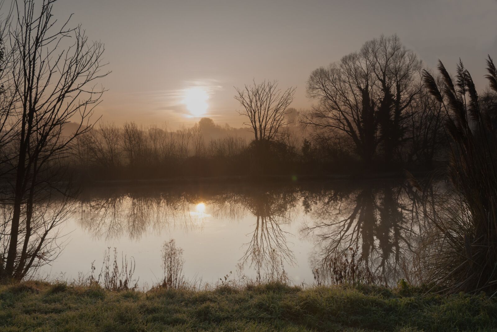 Nikon D80 sample photo. Dawn, tree, landscape photography