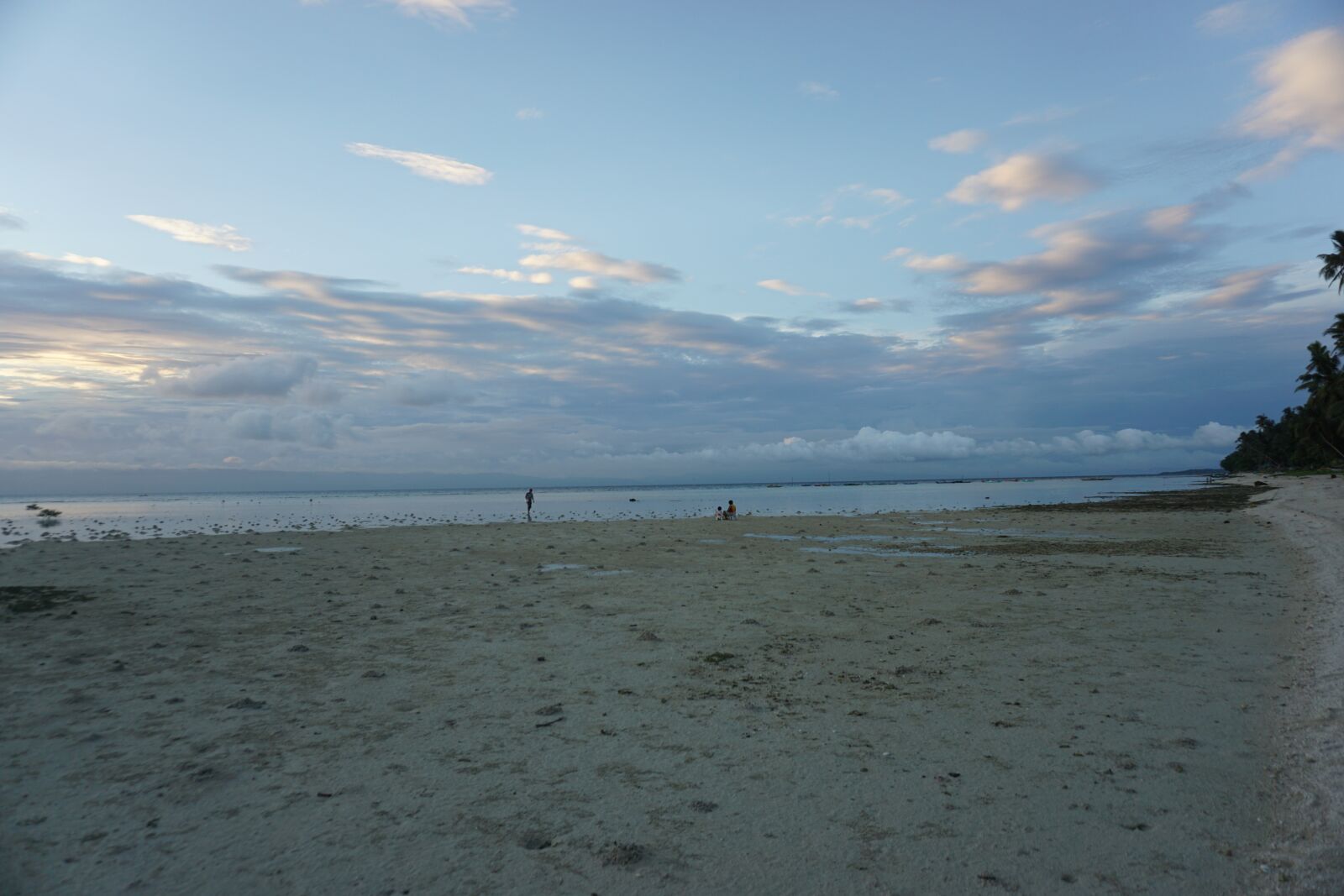 Sony a6000 sample photo. Bohol, philippines, travel photography