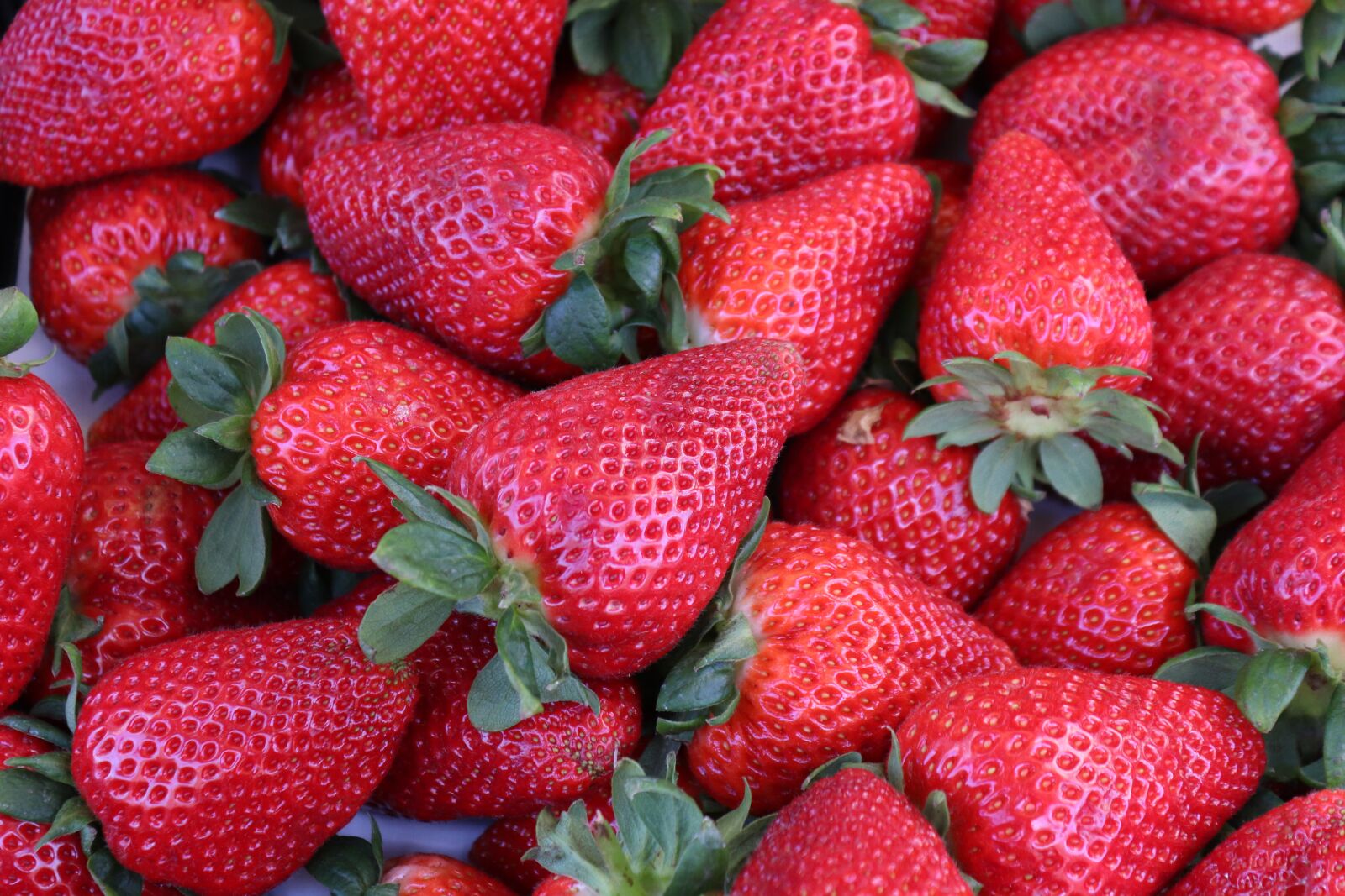 Canon EOS 200D (EOS Rebel SL2 / EOS Kiss X9) sample photo. Strawberries, fruit, fruits photography