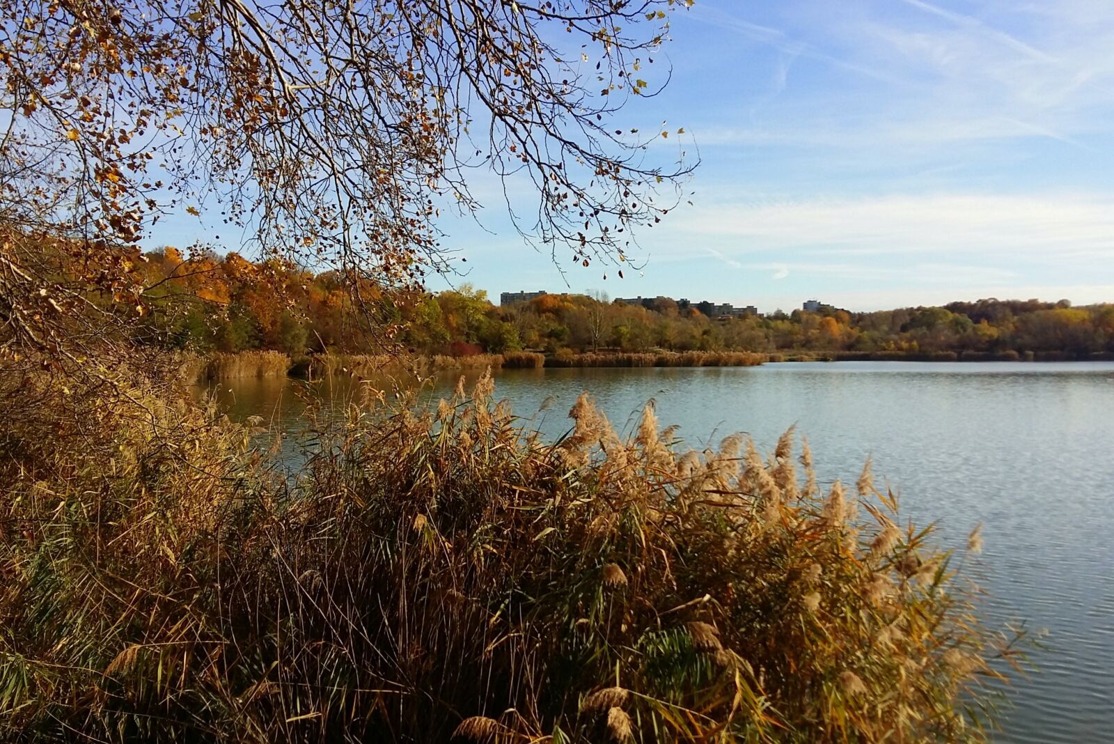 Samsung Galaxy A5 sample photo. Autumn, nature, recreation area photography