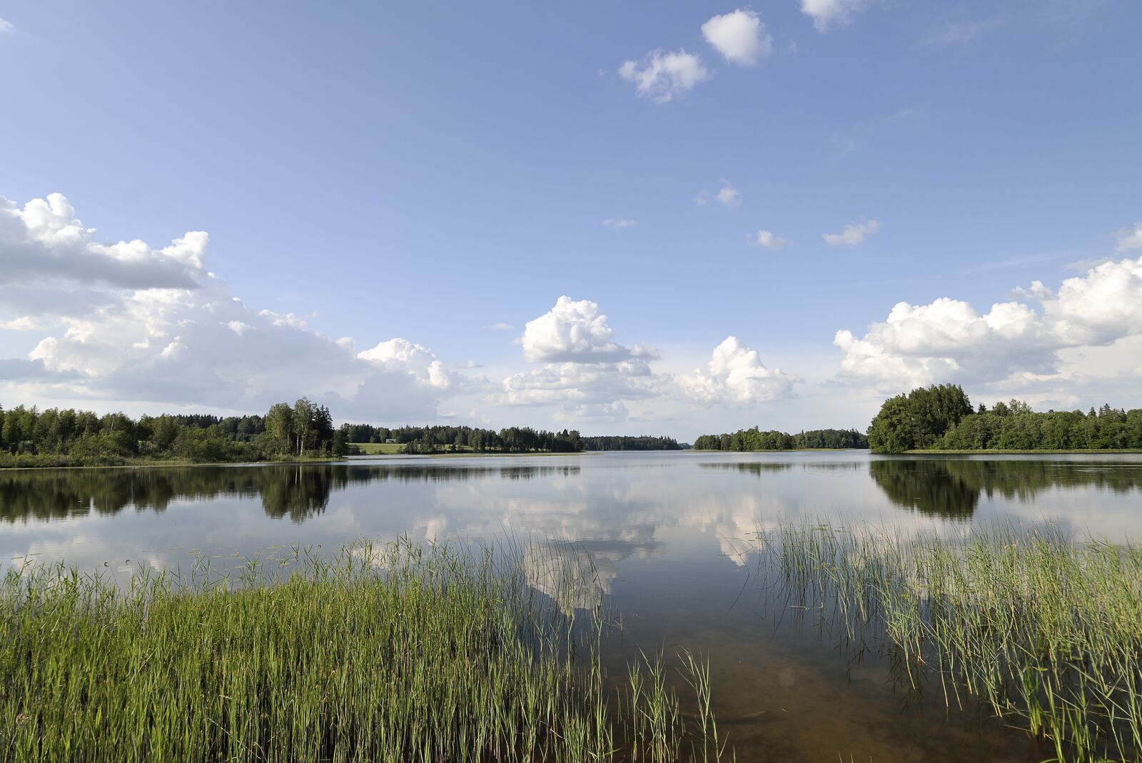 Nikon D7000 sample photo. Baltic states, estonia, it photography