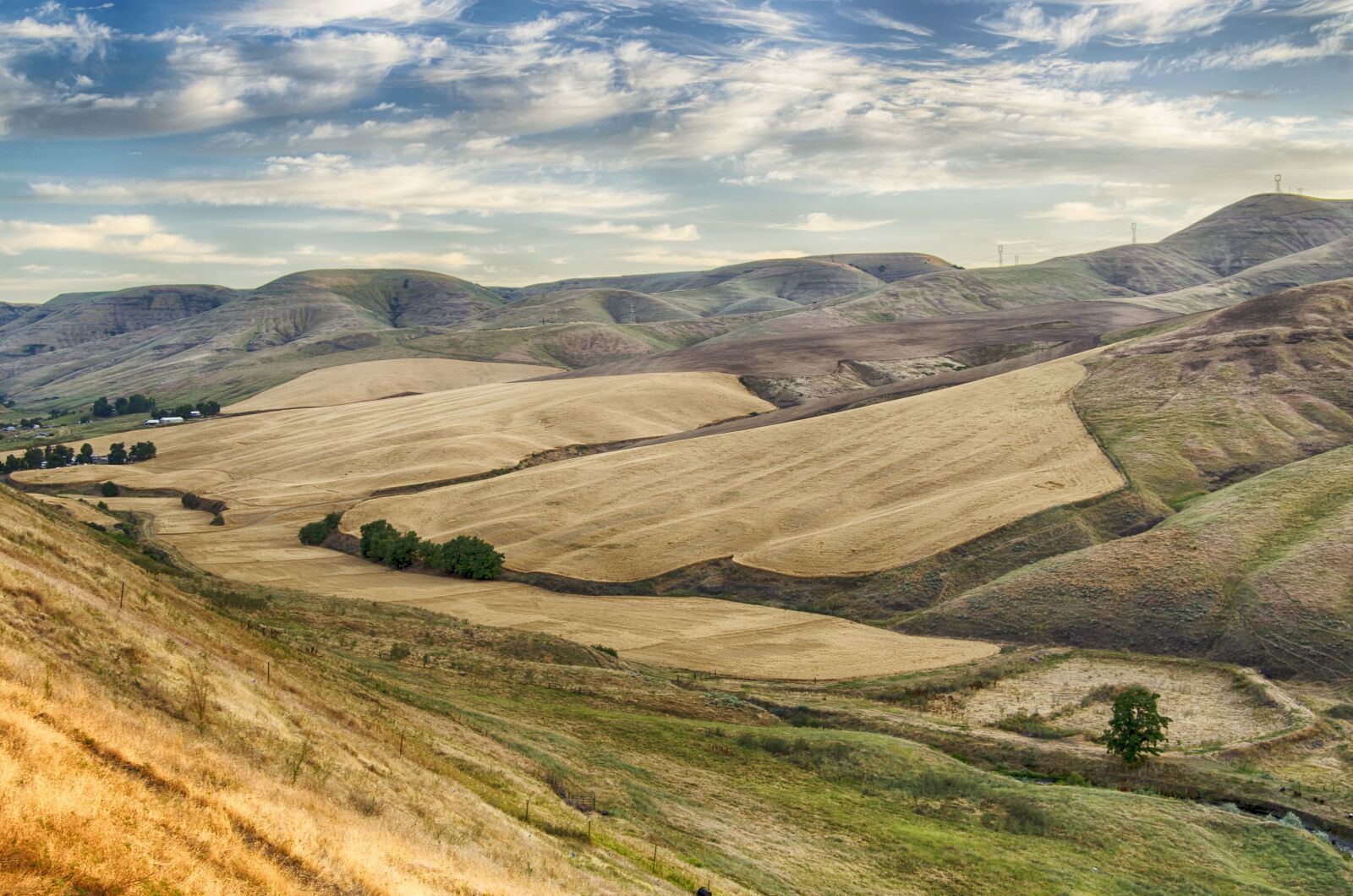 Nikon D5100 sample photo. Wheat fields, rolling fields photography
