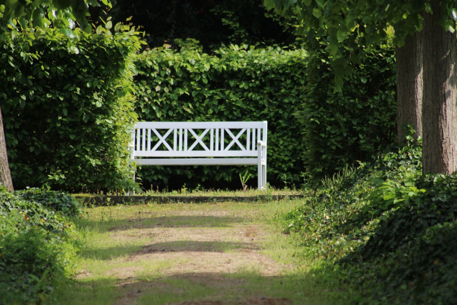 Canon EOS 600D (Rebel EOS T3i / EOS Kiss X5) sample photo. Park, bank, recovery photography