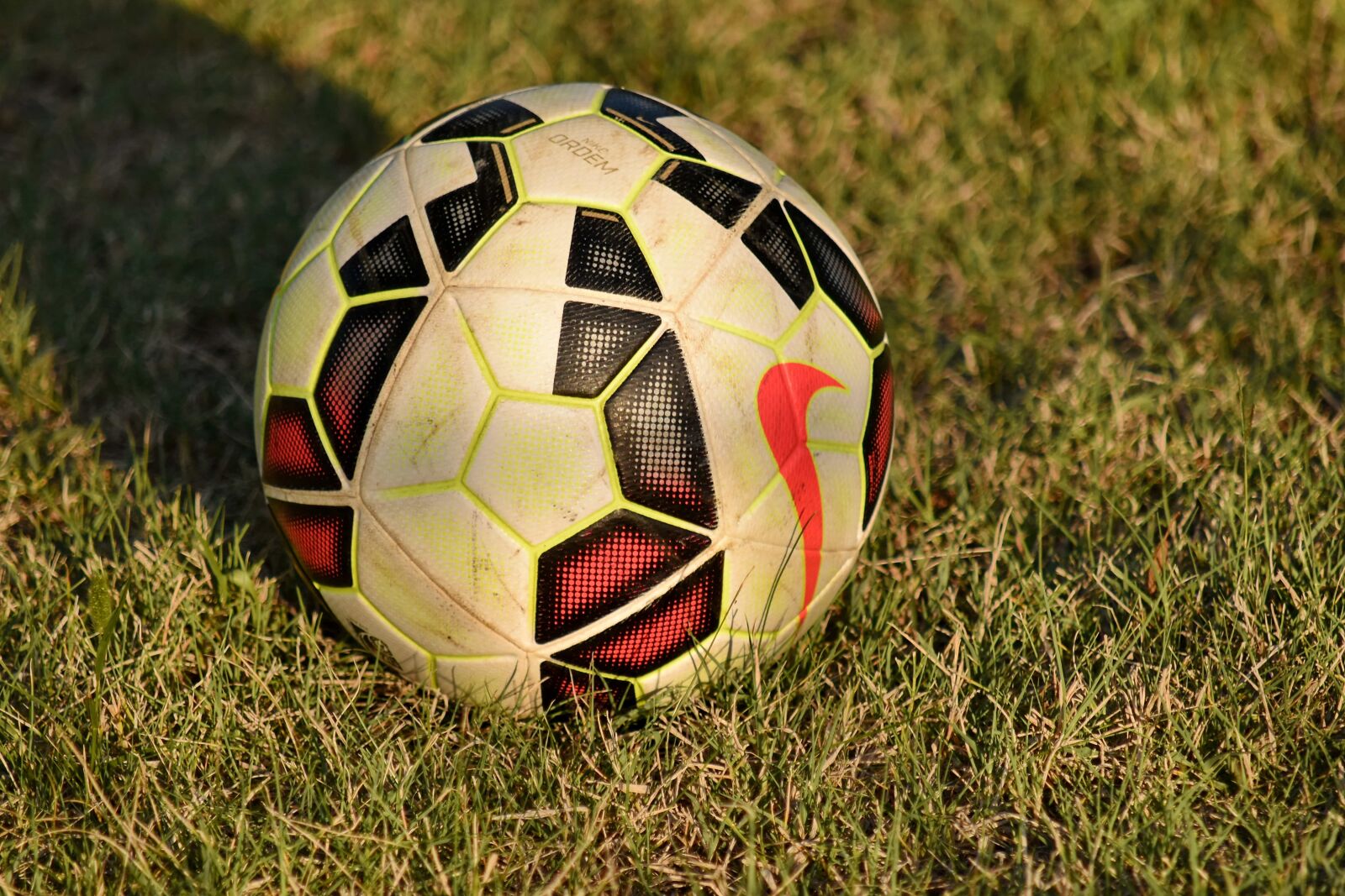 Nikon D5500 sample photo. Football, grass, shadow, soccer photography