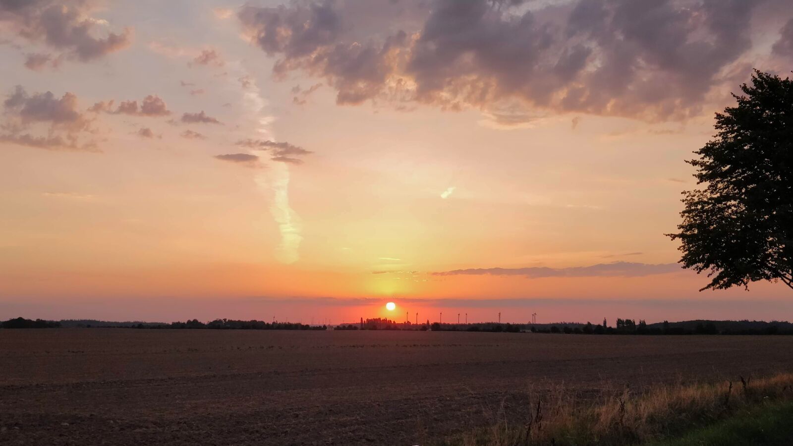 OnePlus 5T sample photo. Sunrise, summer, nature photography
