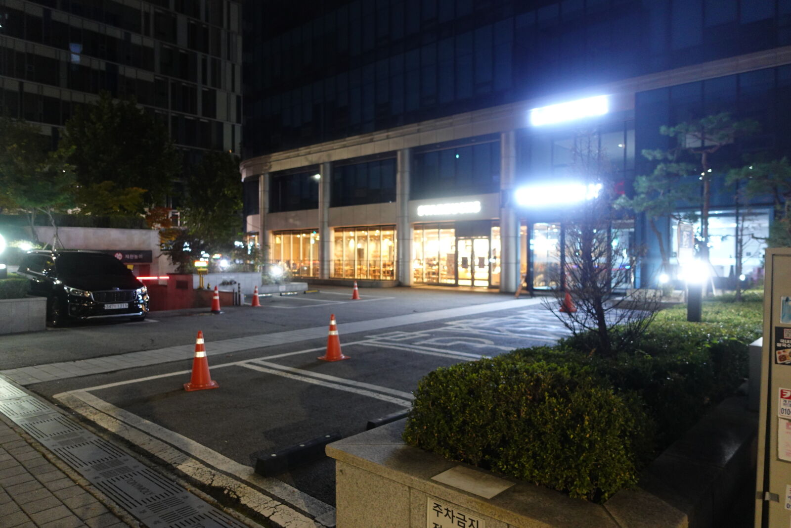 Sony ZV-1 sample photo