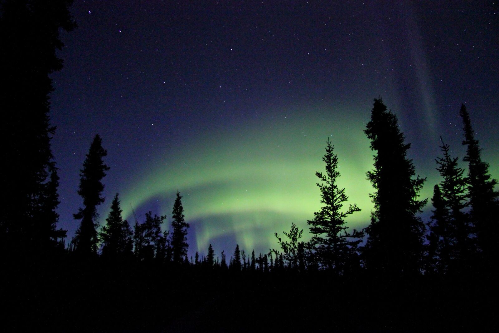 Canon EOS 550D (EOS Rebel T2i / EOS Kiss X4) sample photo. Aurora borealis, northern lights photography