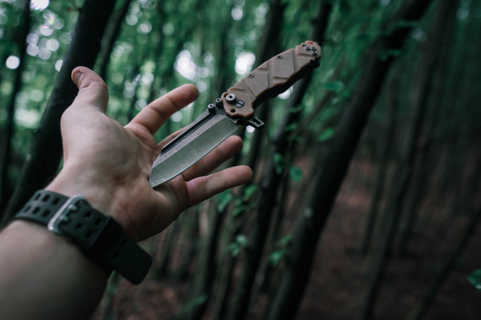 Sony a6400 + Sigma 16mm F1.4 DC DN | C sample photo. Nature, fire, knife photography