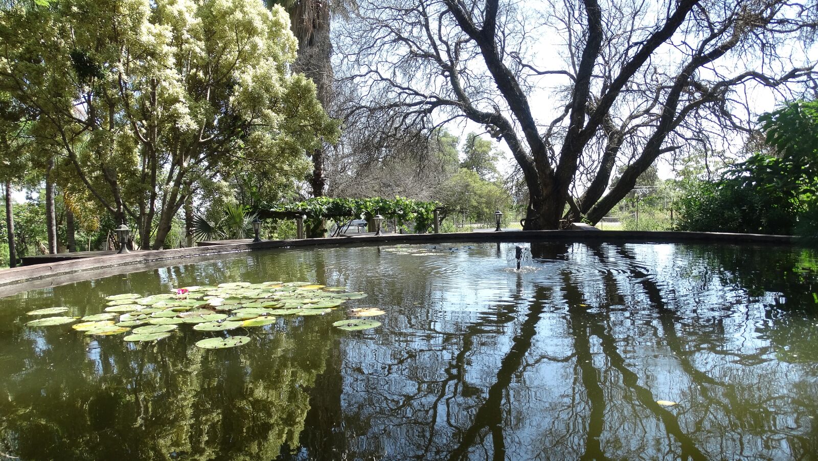 Sony Cyber-shot DSC-HX300 sample photo. Body of water, nature photography