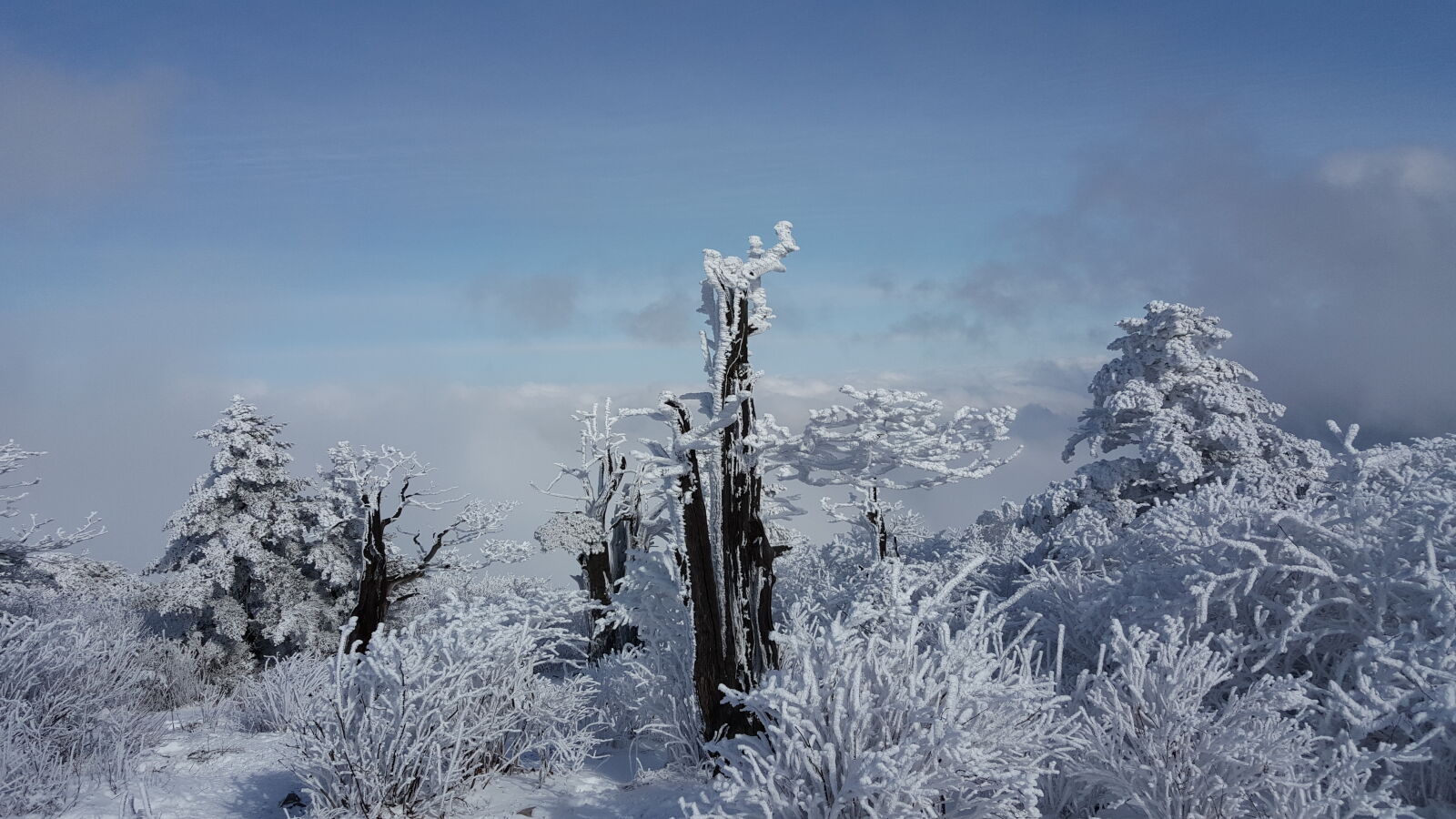 Samsung Galaxy Note5 sample photo. Korea, mountain, taebaeksan, winter photography