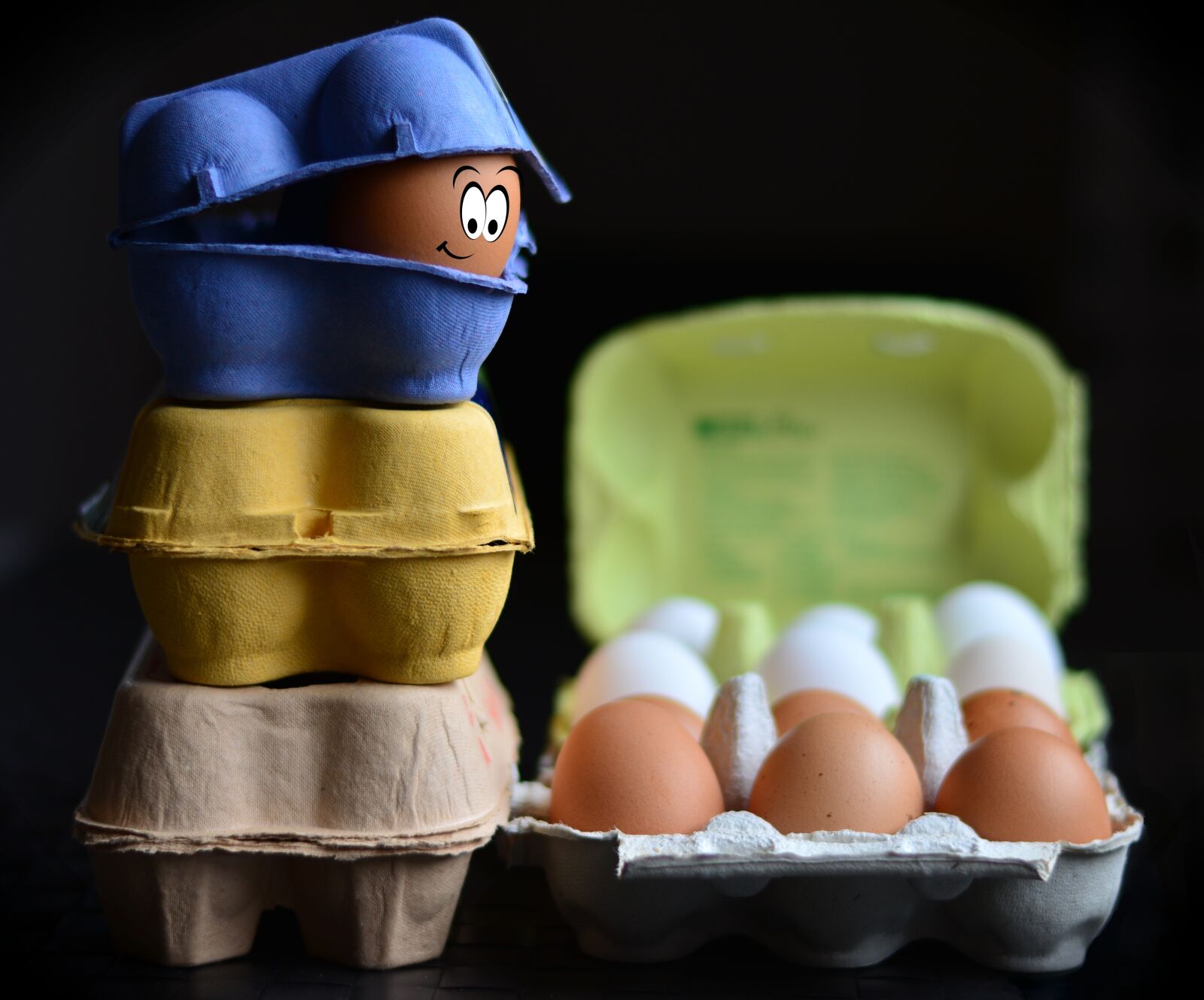 Nikon D5200 sample photo. Egg cartons, egg, egg photography