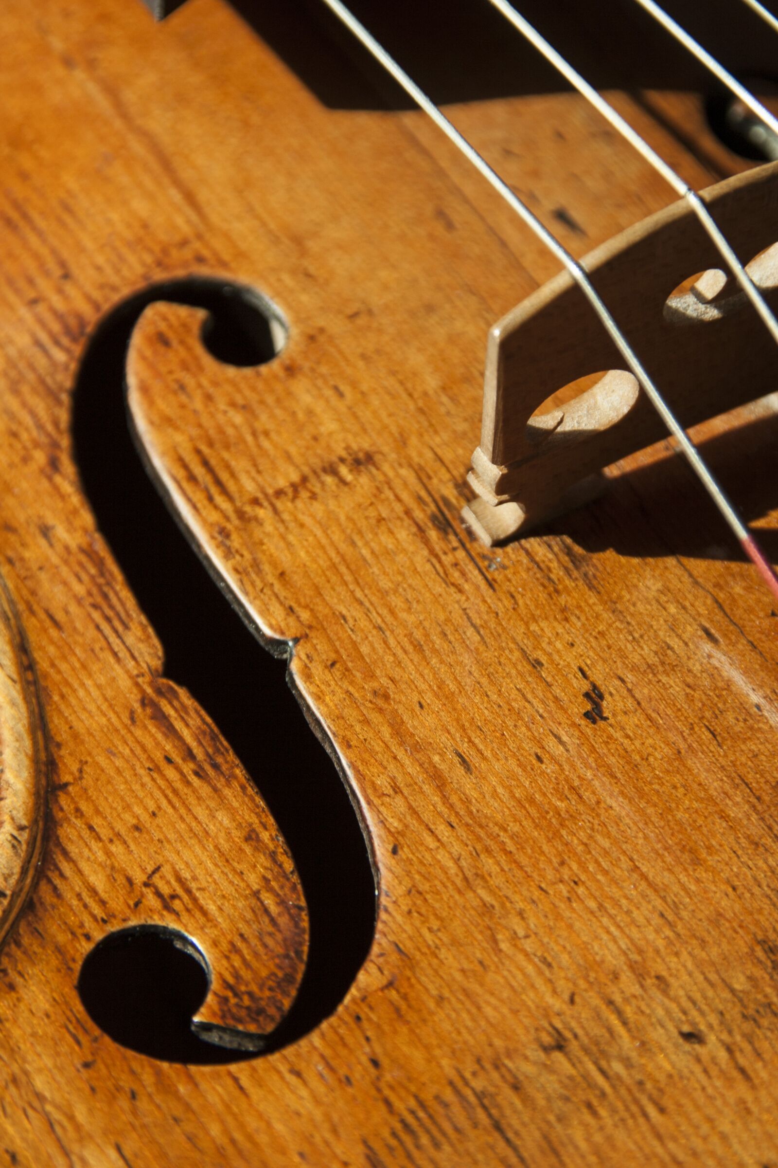 Canon EOS 350D (EOS Digital Rebel XT / EOS Kiss Digital N) sample photo. Violin, music, strings photography