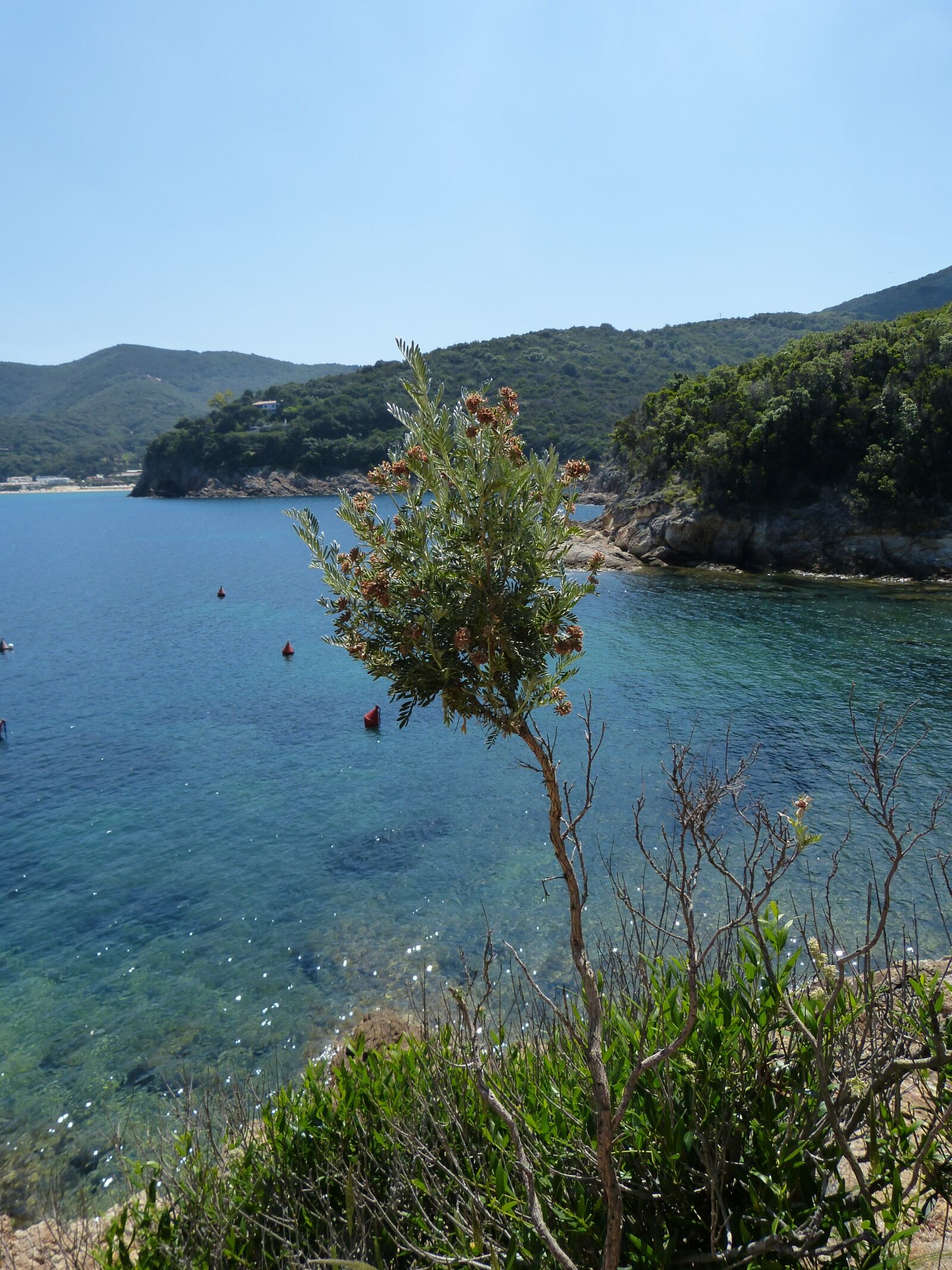 Panasonic Lumix DMC-FZ150 sample photo. Elba, hiking, landscape photography
