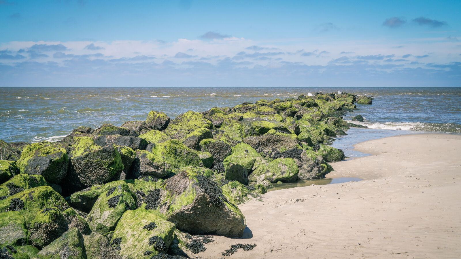 Sony a6000 + Sony E 35mm F1.8 OSS sample photo. Algae, beach, blue, sky photography
