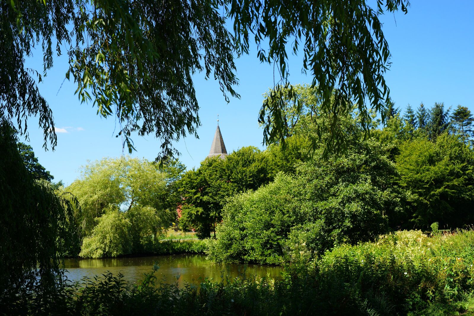 Sony a99 II + Minolta AF 50mm F1.4 [New] sample photo. Pond, trees, water photography