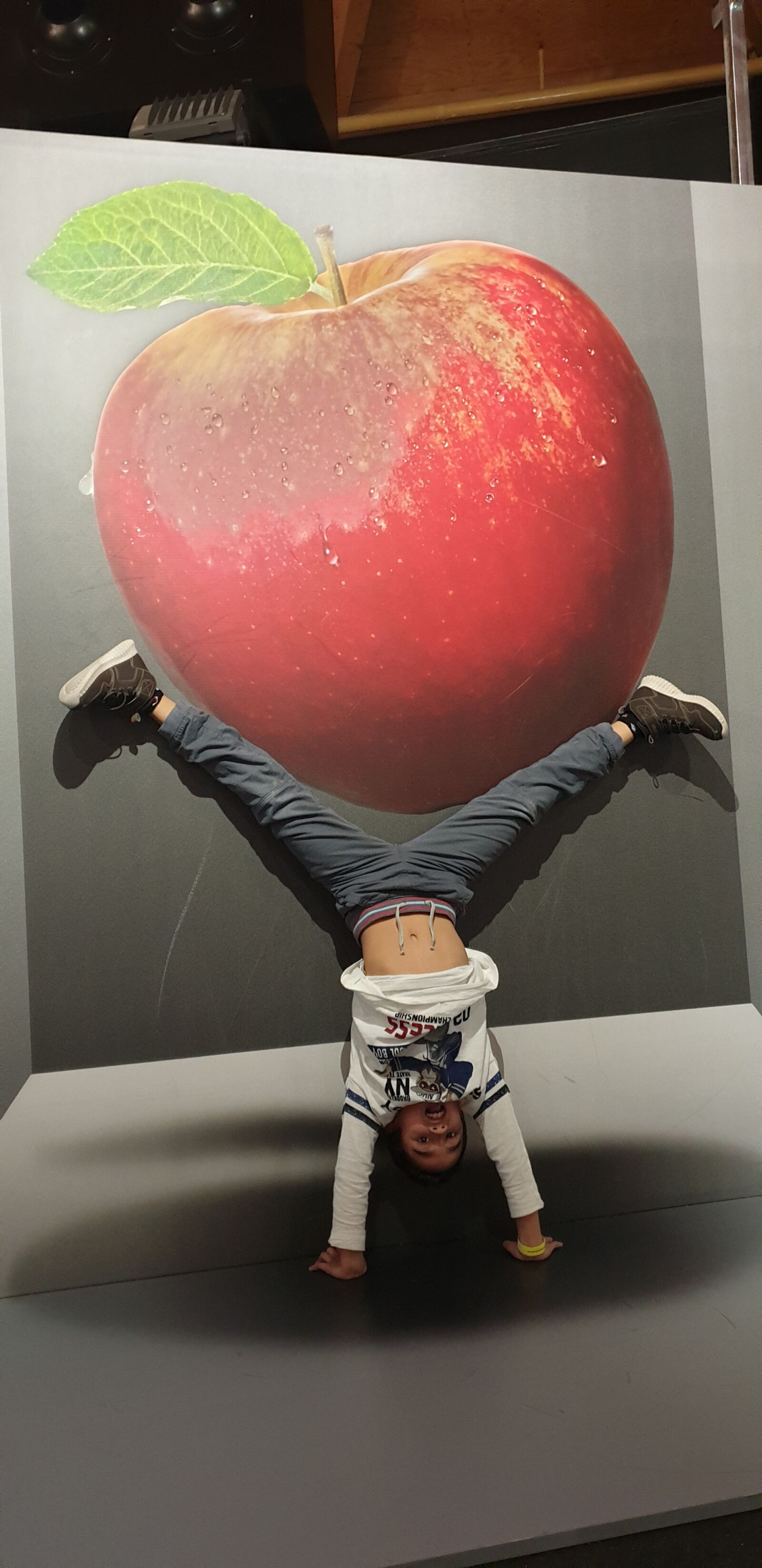 Samsung Galaxy S9+ sample photo. Catching, big, apple photography