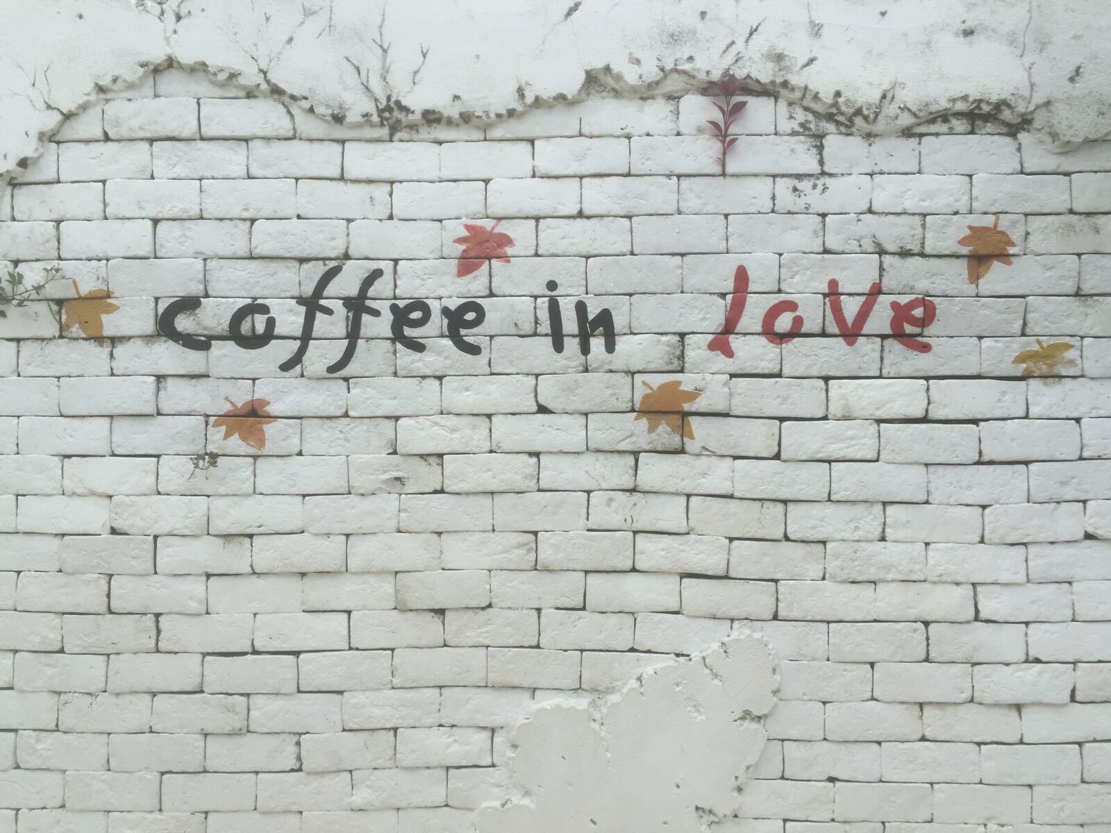 Apple iPhone 6 sample photo. Coffee sign, coffee, cafe photography
