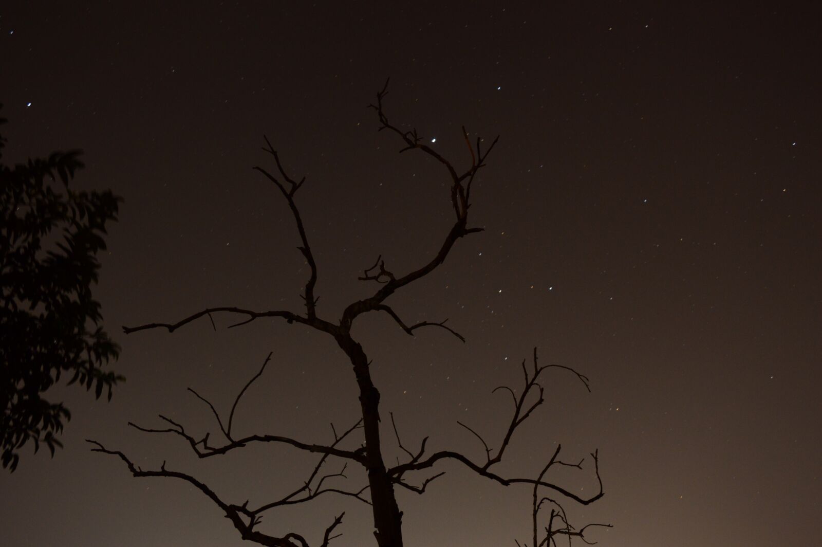 Nikon D3200 sample photo. Night, sky, dry photography