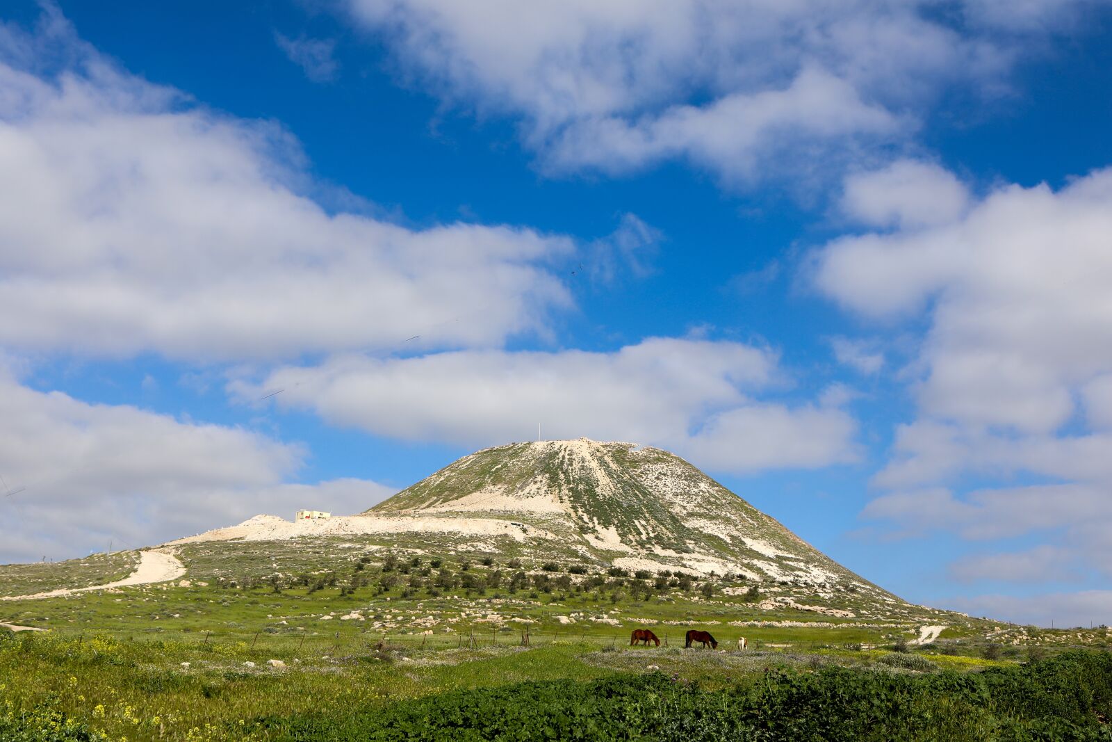 Canon EOS 5D Mark IV sample photo. Herodion, mount, israel photography