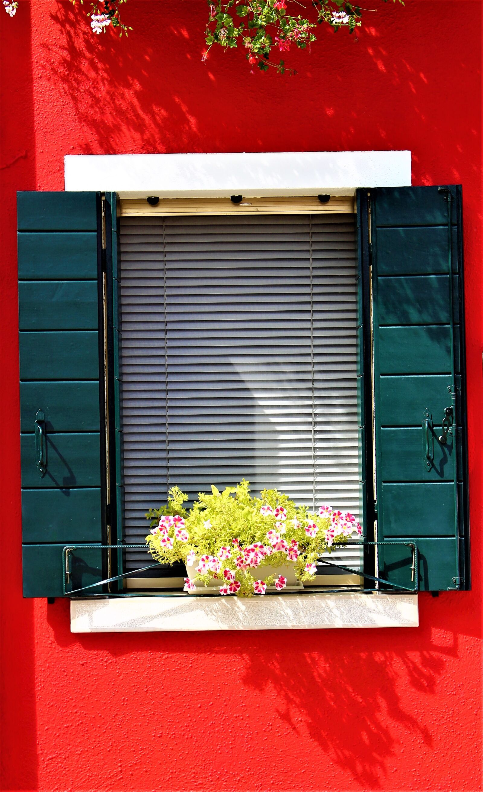 Canon EOS 700D (EOS Rebel T5i / EOS Kiss X7i) sample photo. Window, venice, burano photography