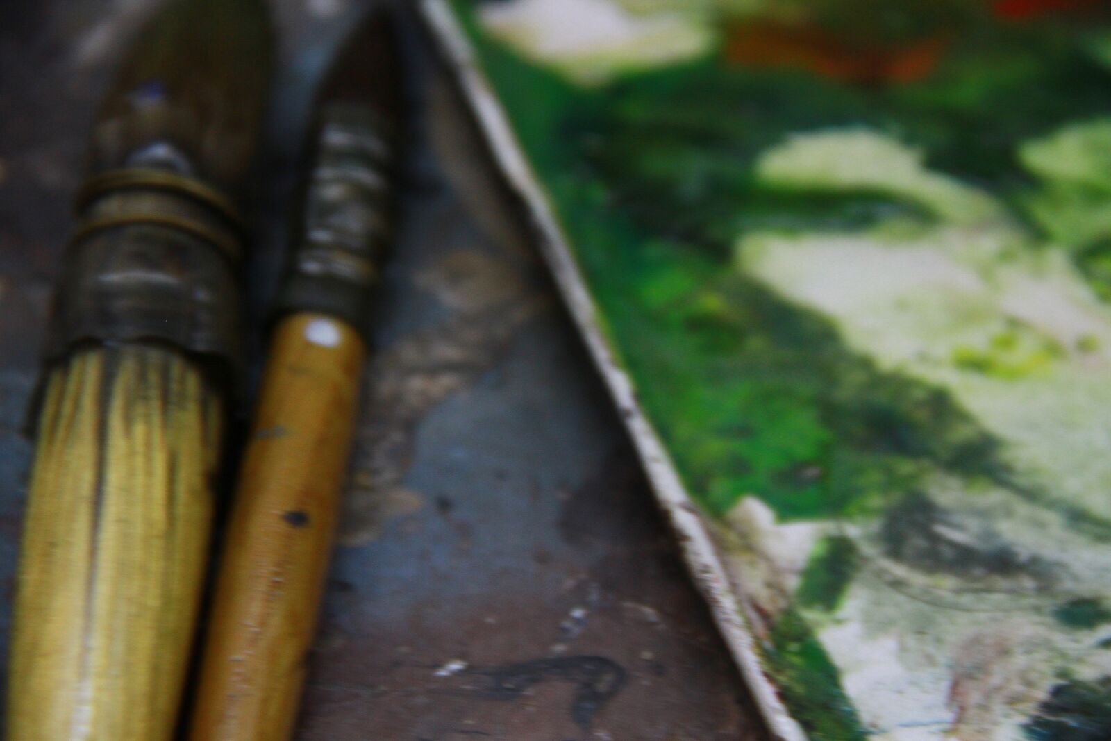 Canon EOS 7D sample photo. Art, watercolor, brushes photography