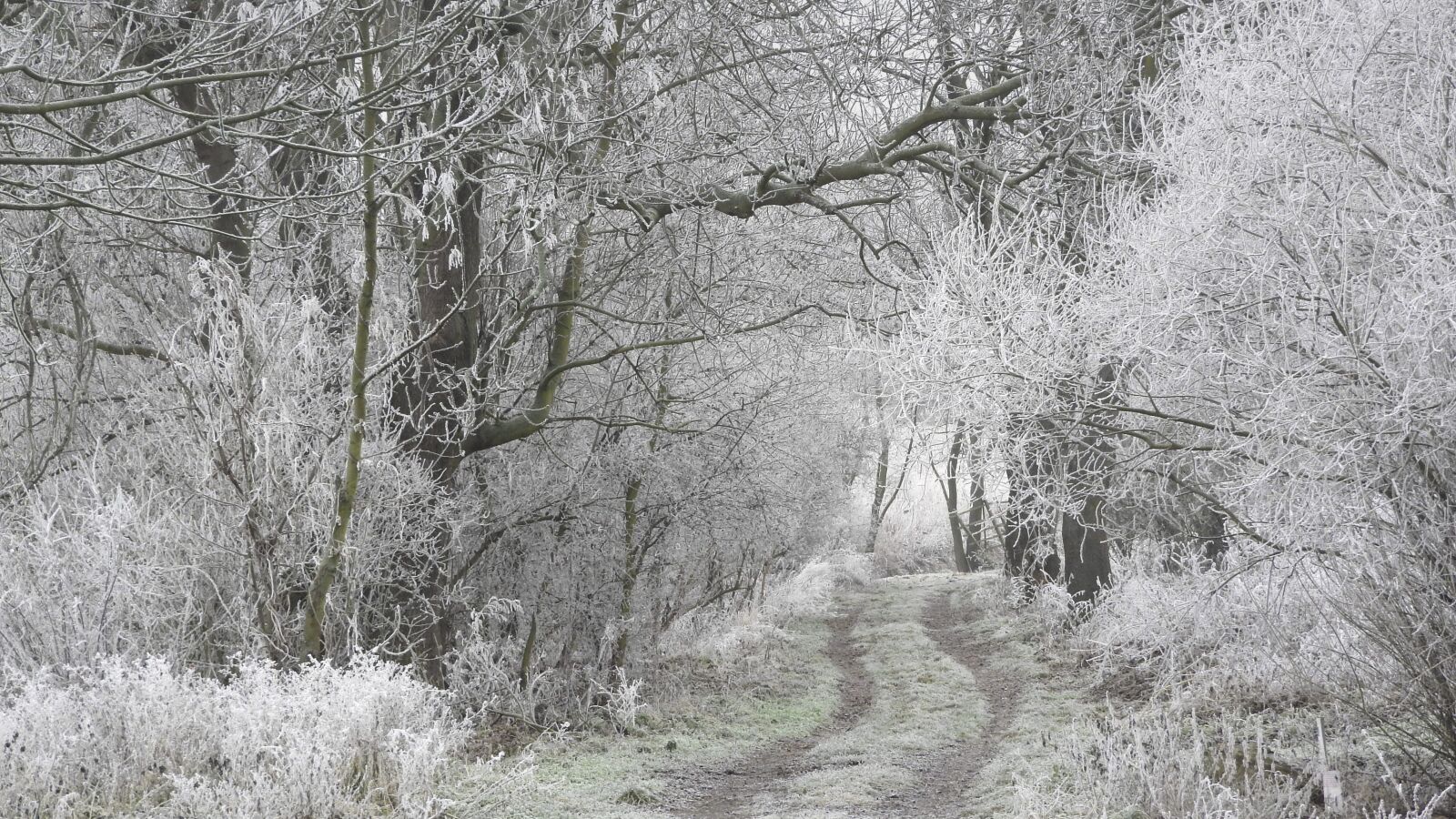 Nikon Coolpix P610 sample photo. Winter landscape, the landscape photography