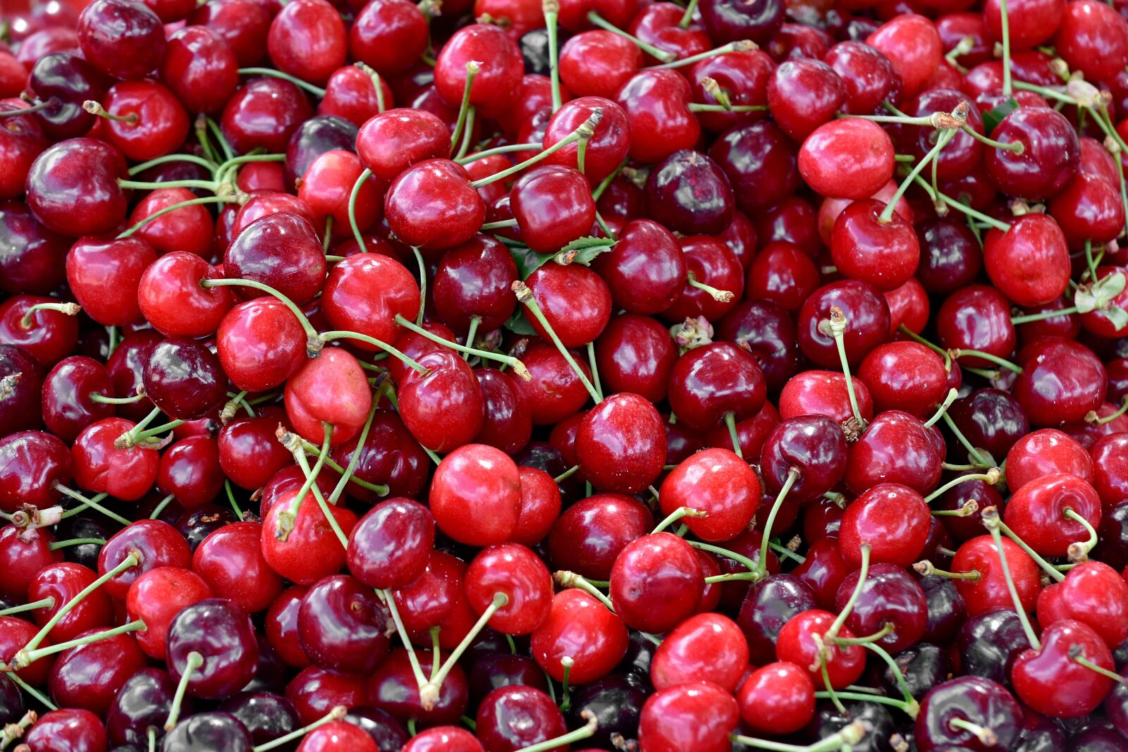Nikon D5500 sample photo. Many, dessert, delicious, fruit photography