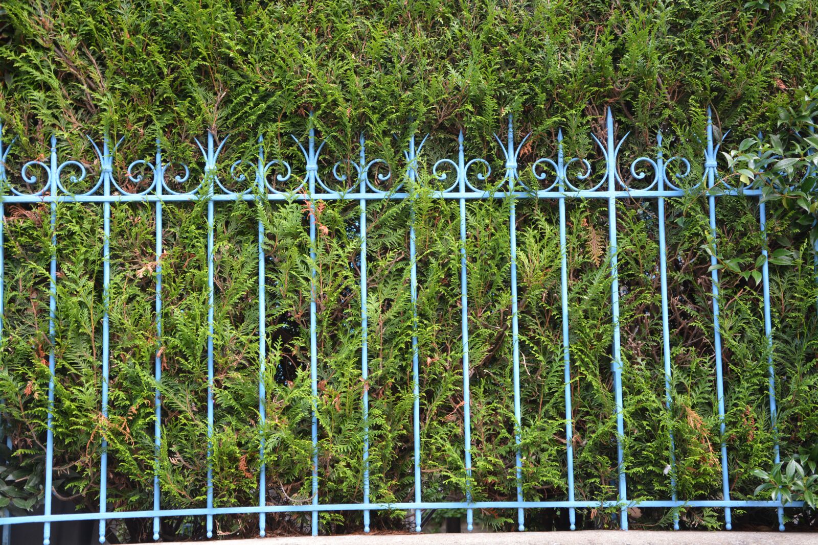 Nikon D5200 sample photo. Grid, iron-laden, portal photography