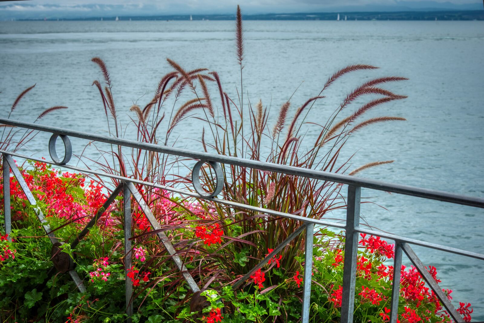 Nikon D750 sample photo. Lake constance, berlinger see photography