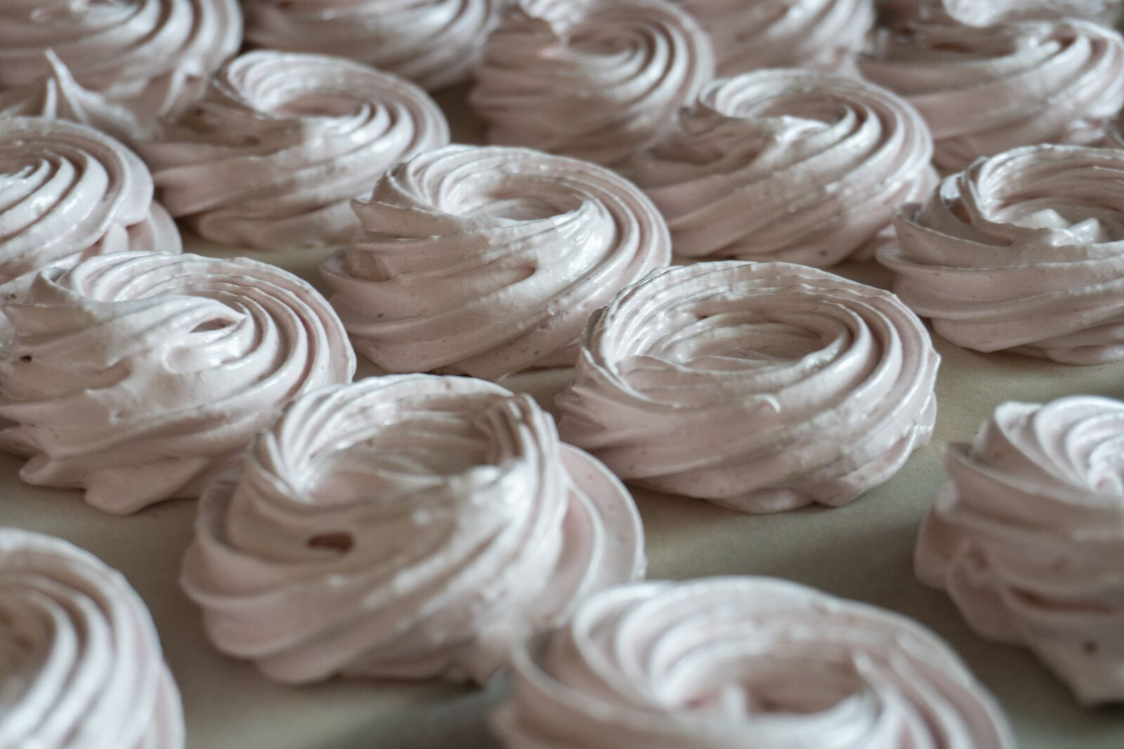 Sony a6300 sample photo. Zephyr, pink, dessert photography