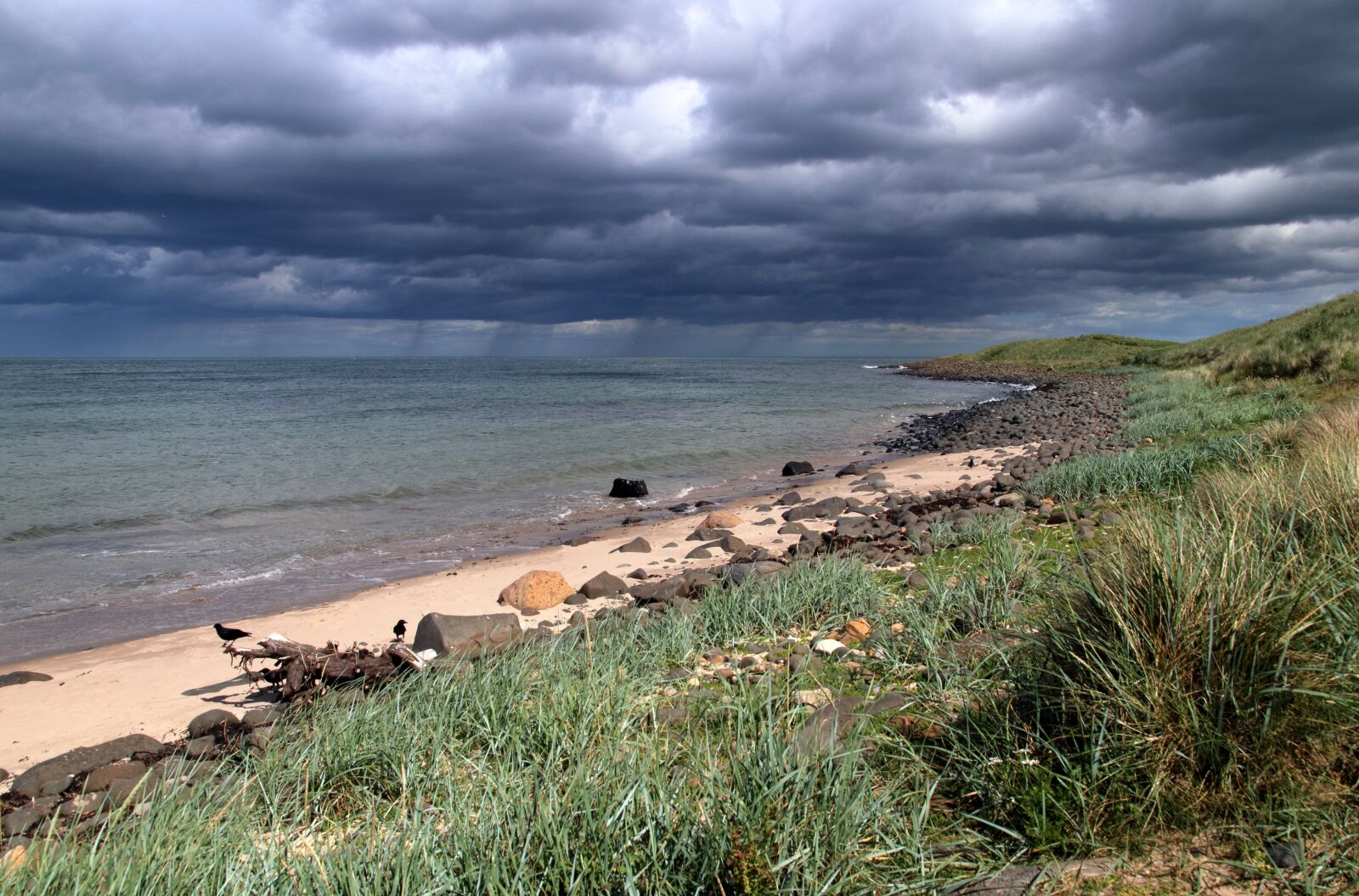 Canon EOS 80D sample photo. Beach, northumberland, cloudy photography