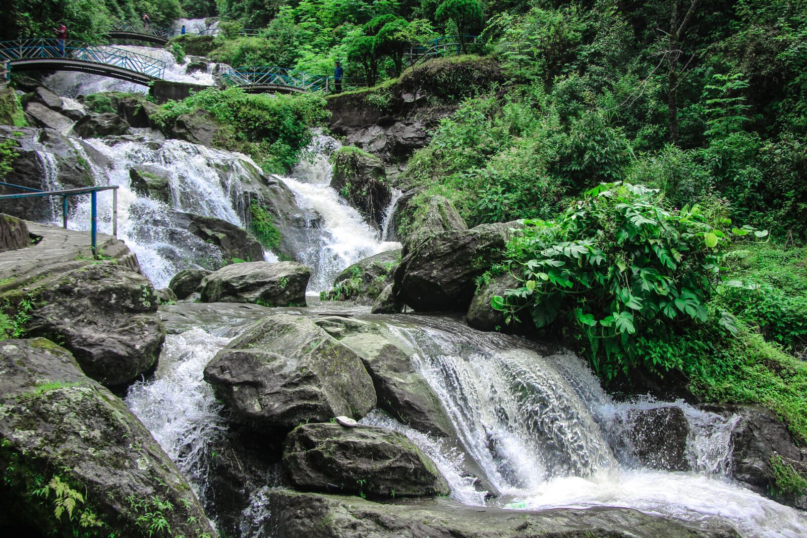 Canon EF-S 18-135mm F3.5-5.6 IS USM sample photo. Nature, falls, landscape photography