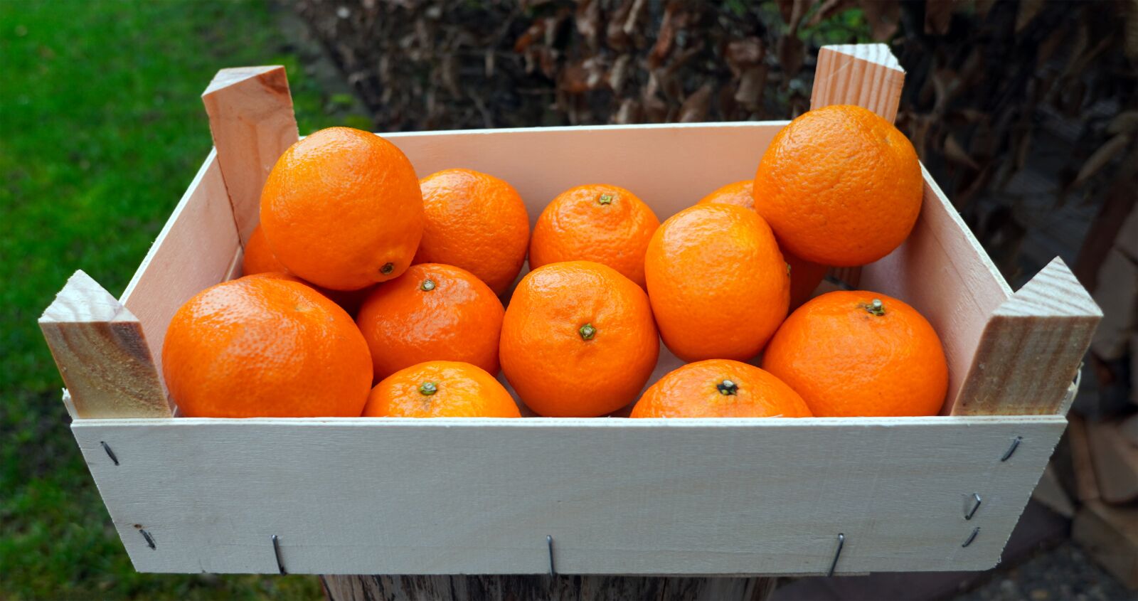 Sony E 16mm F2.8 sample photo. Oranges, fruit, orange photography