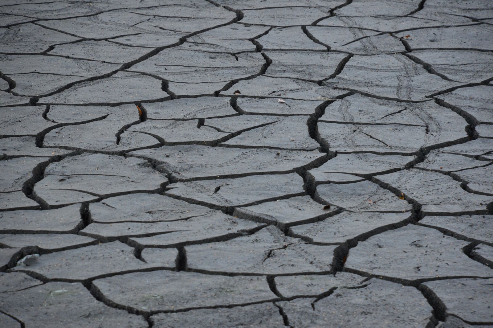 Nikon D3200 sample photo. Dry, desert, drought photography