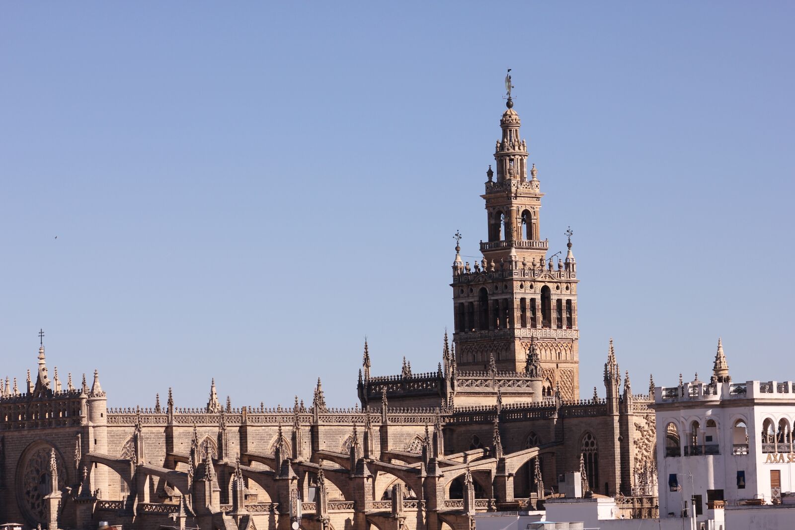 Canon EOS 550D (EOS Rebel T2i / EOS Kiss X4) sample photo. Jiralda, seville, day photography
