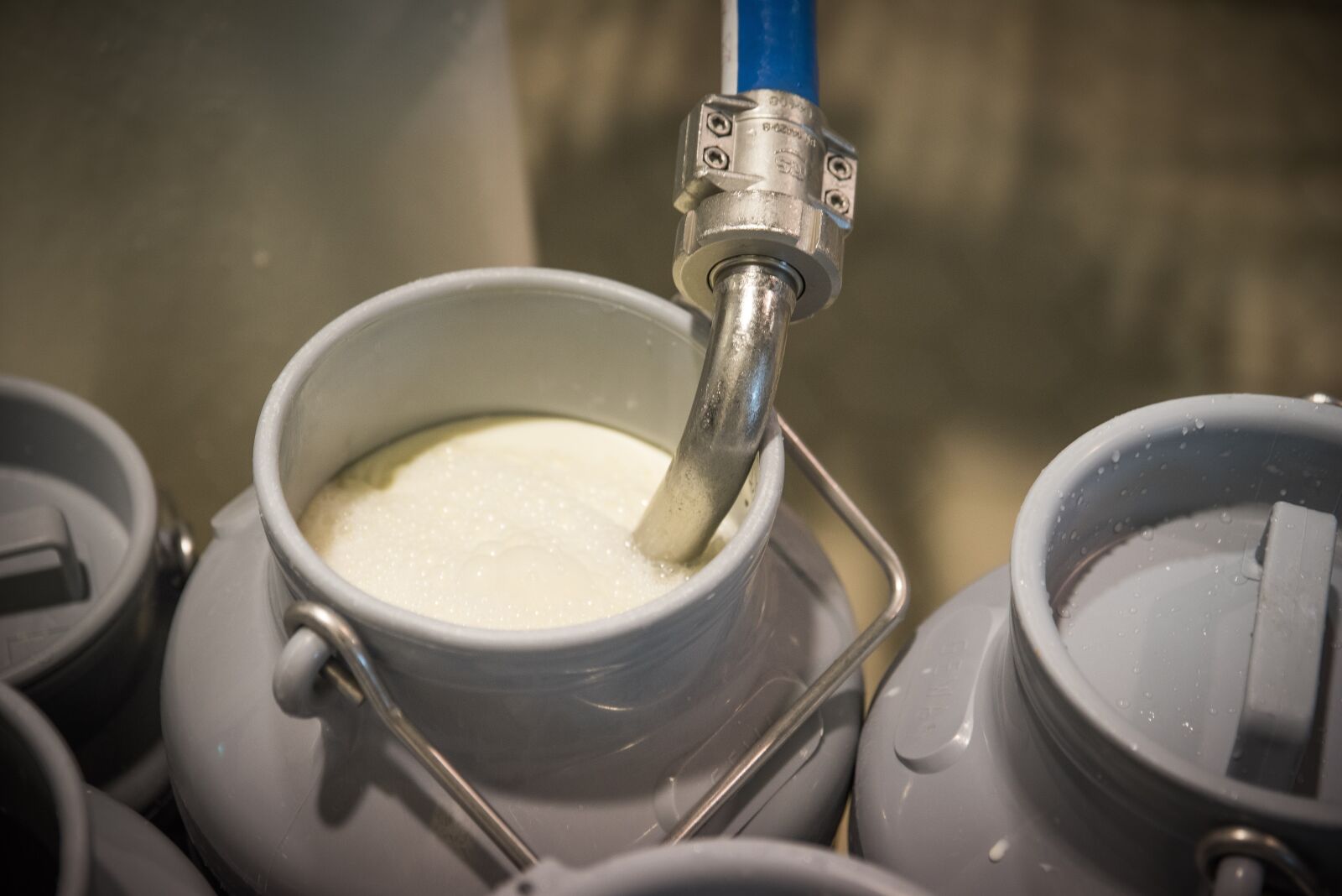 Nikon D750 sample photo. Milk, cow's milk, dairy photography
