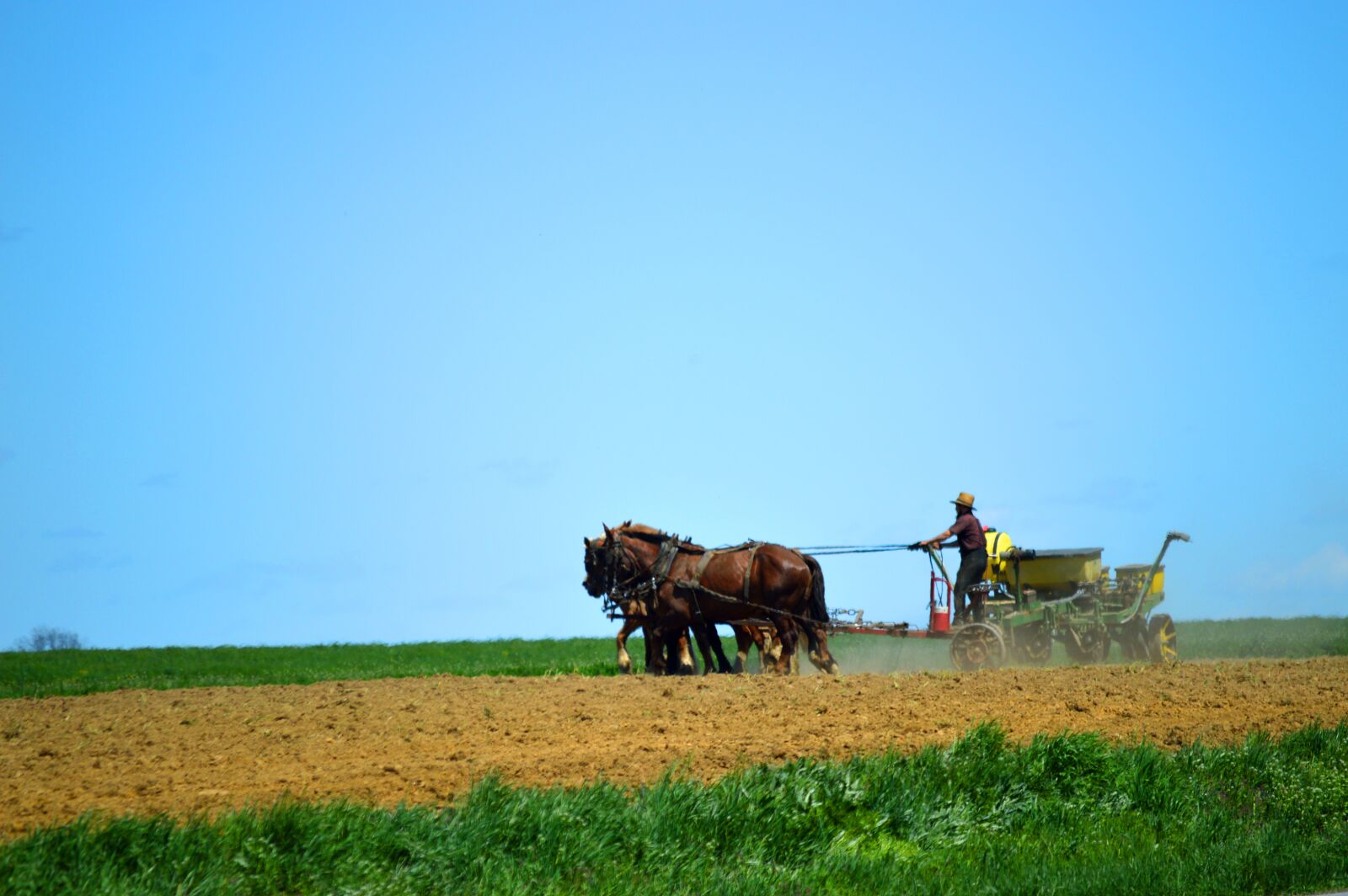 Nikon D3200 sample photo. Amish, garden to go photography