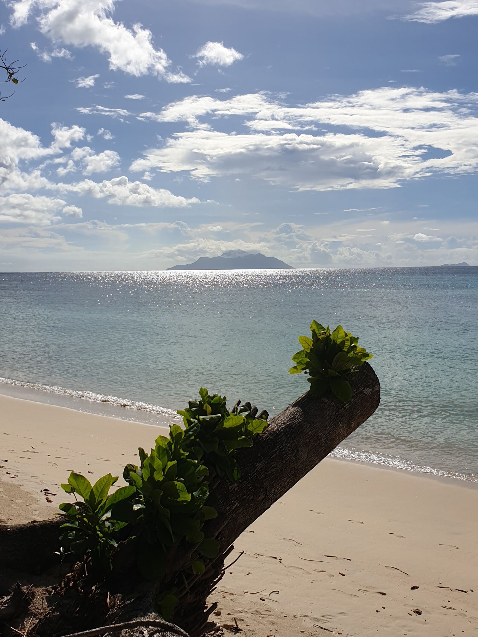 Samsung Galaxy S9 Rear Camera sample photo. Seychelles, mahé, indian ocean photography